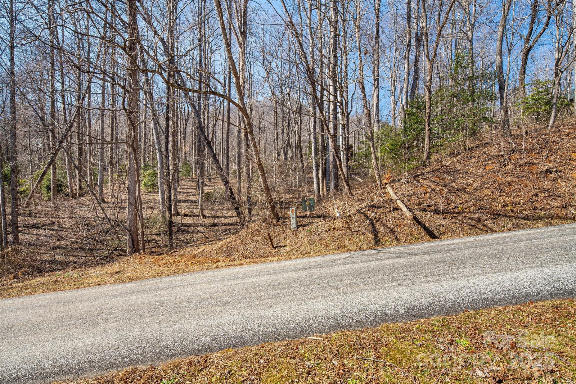 000 Blue Ridge Drive #164 - Photo 3