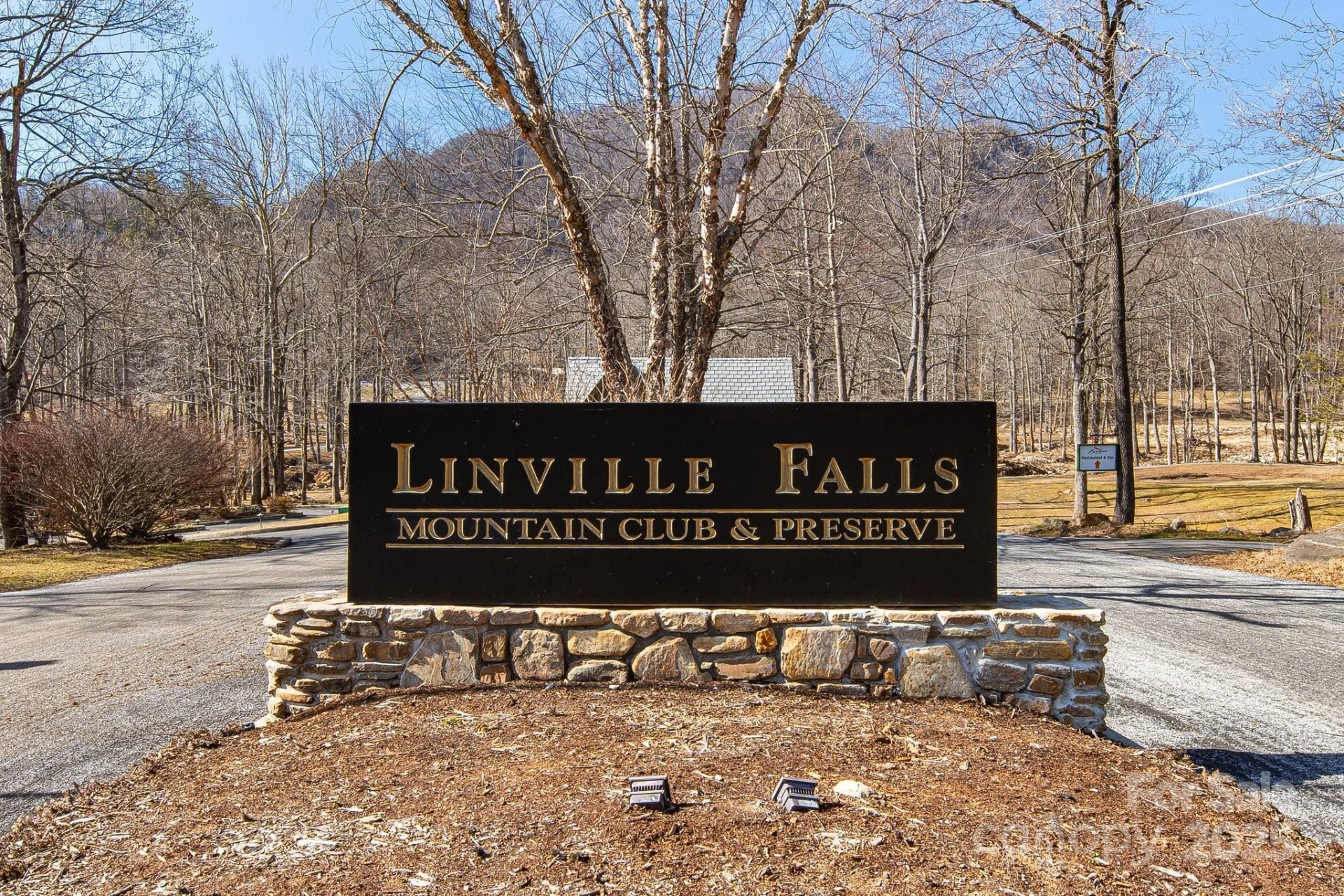 000 Blue Ridge Drive #164 - Photo 23