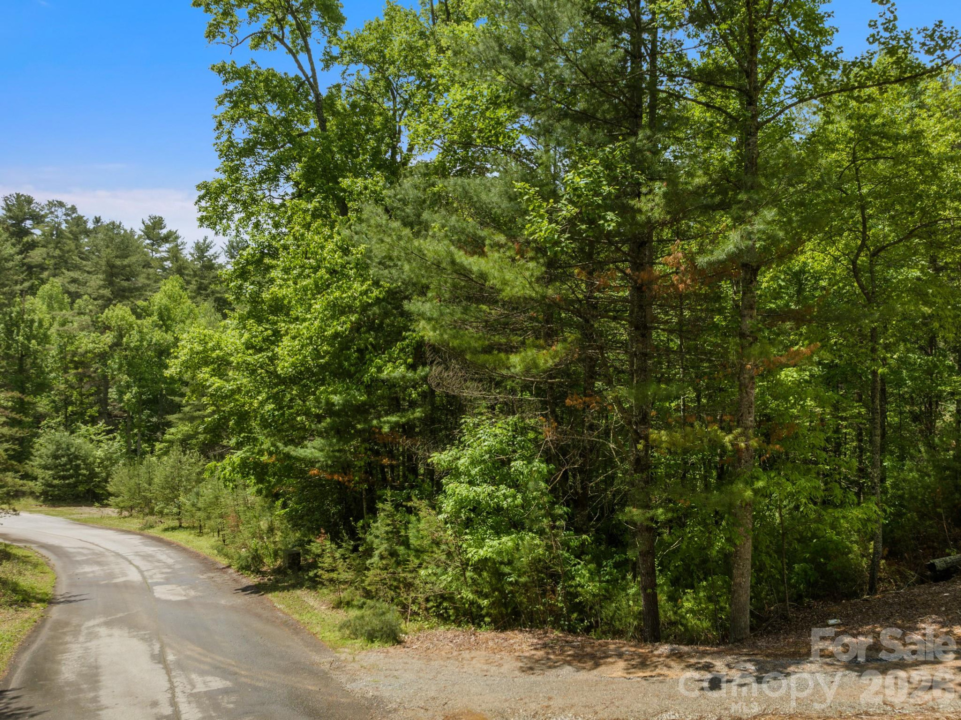 Lot #28 Awi Trail - Photo 9