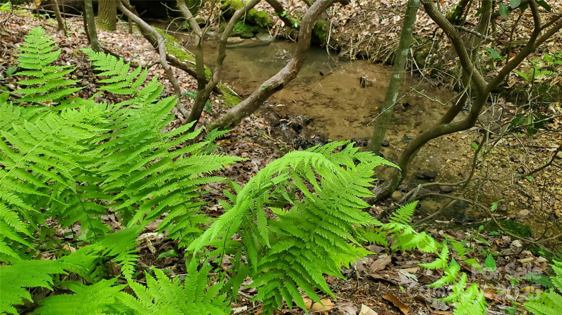 755 Hamilton Drive - Photo 11