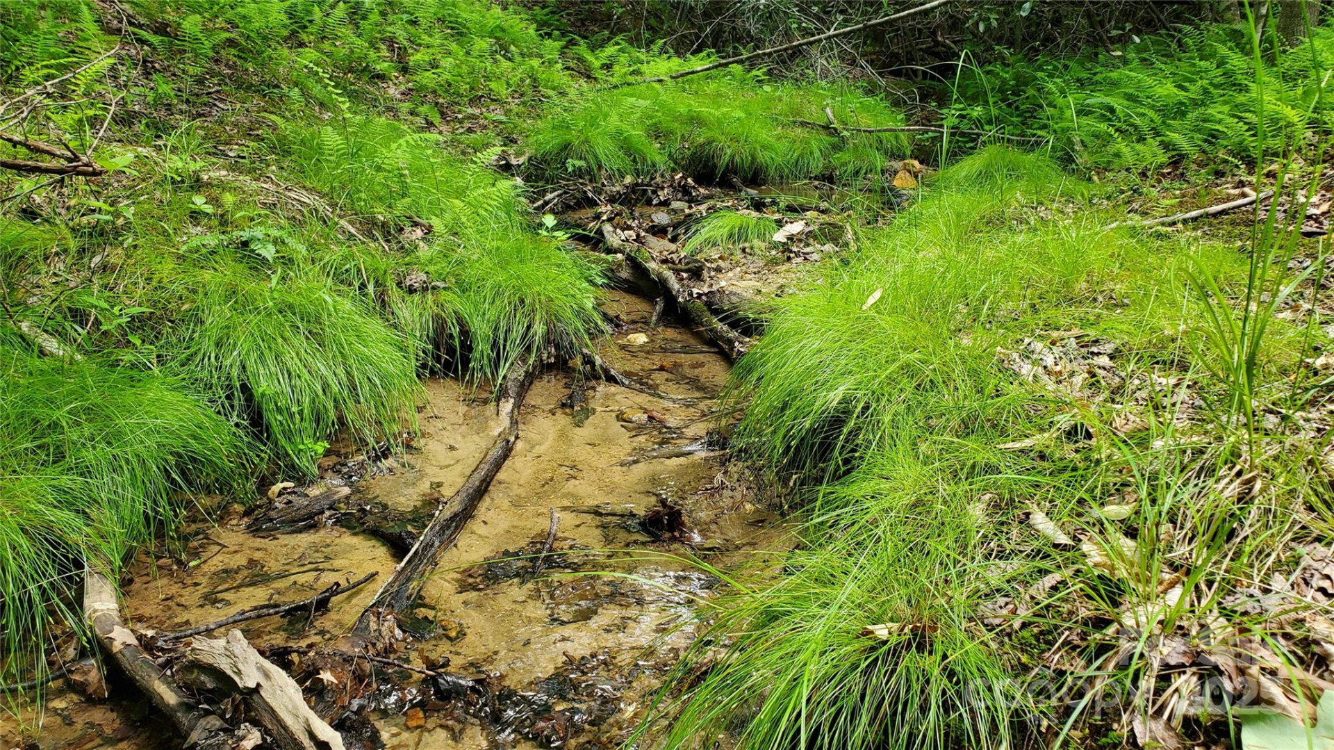 755 Hamilton Drive - Photo 12