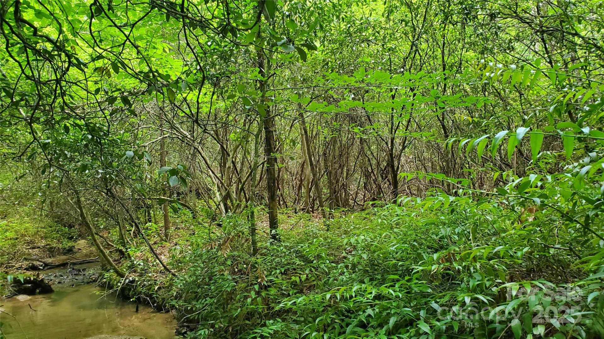 755 Hamilton Drive - Photo 14