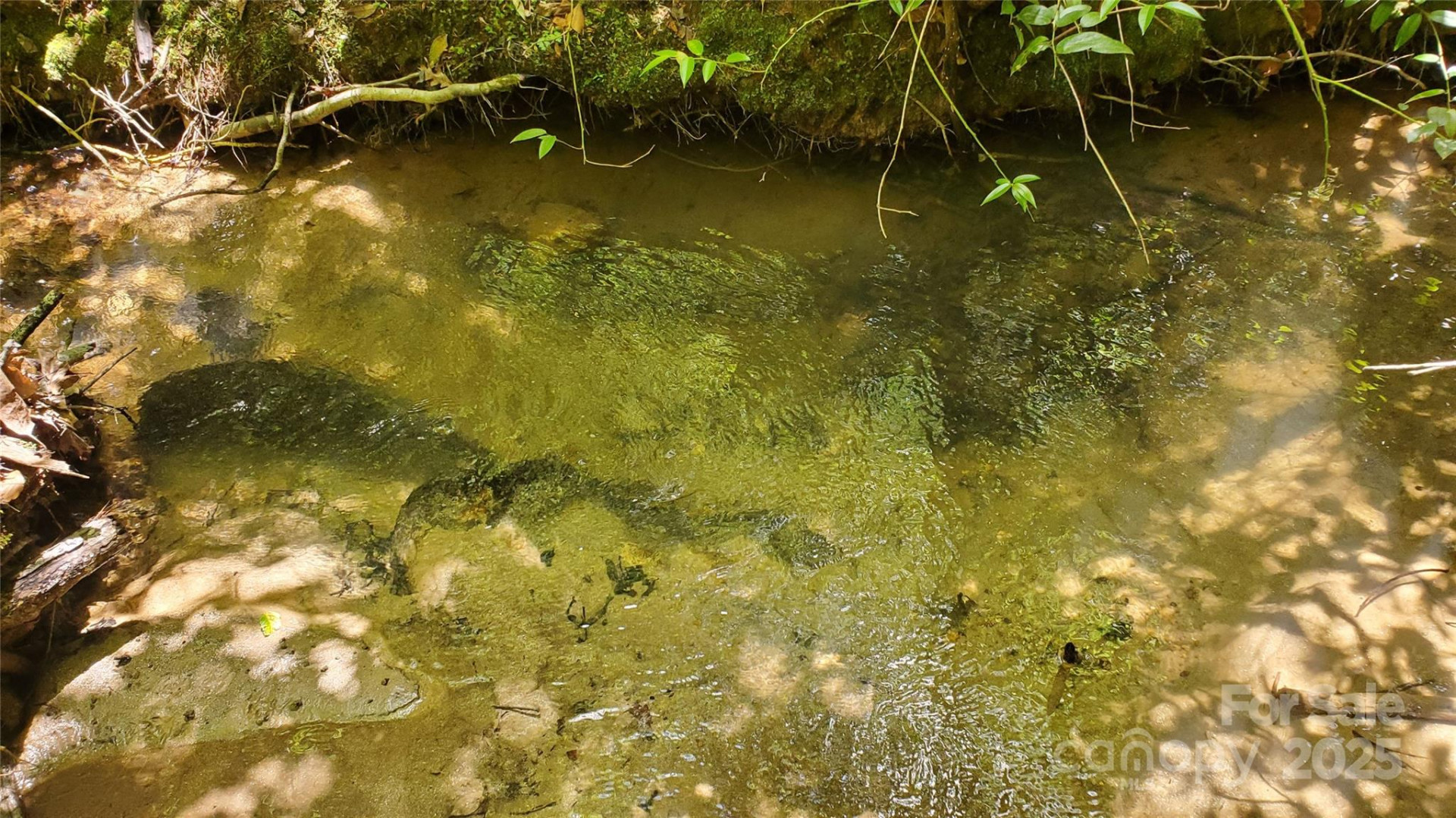 755 Hamilton Drive - Photo 15