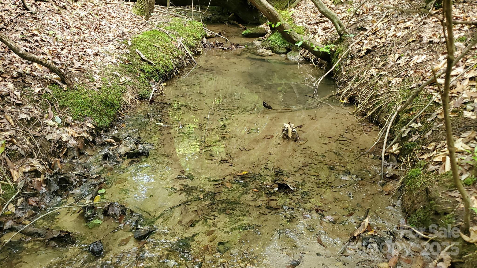 755 Hamilton Drive - Photo 16