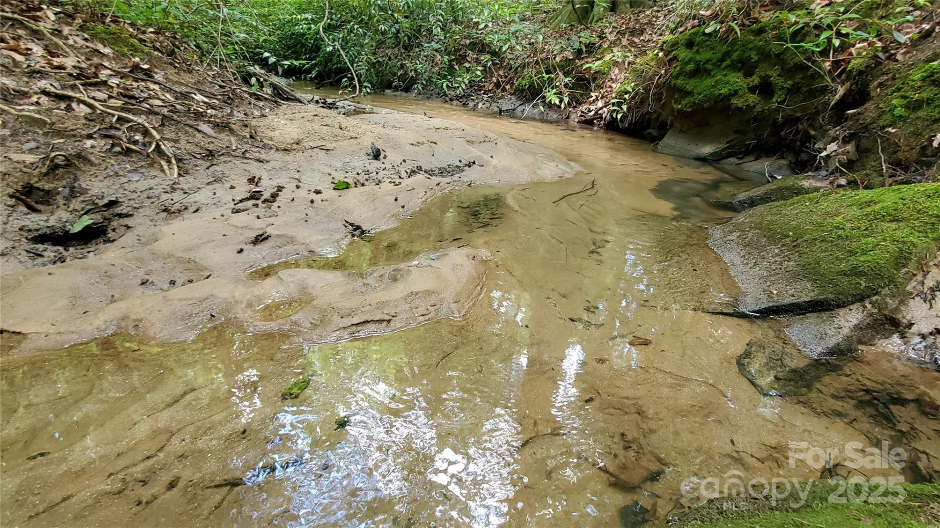 755 Hamilton Drive - Photo 17