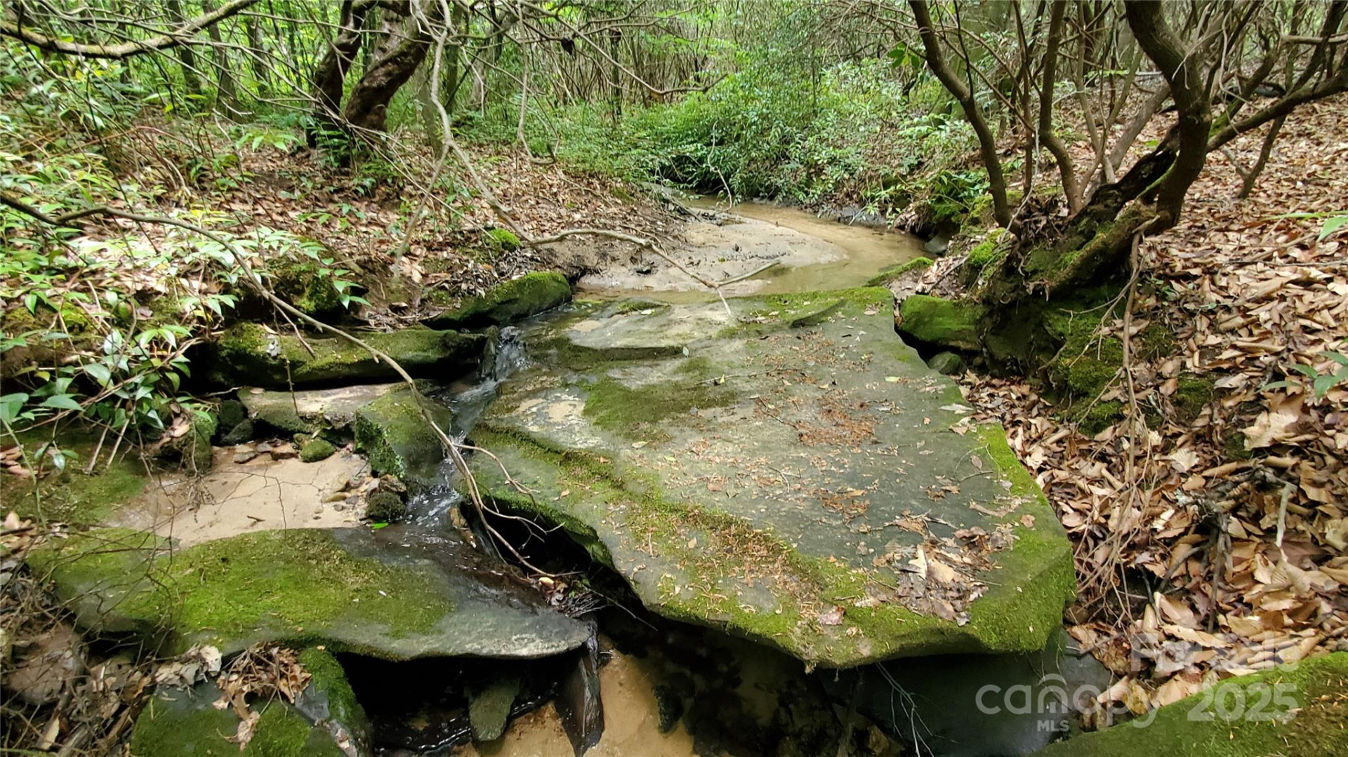 755 Hamilton Drive - Photo 18