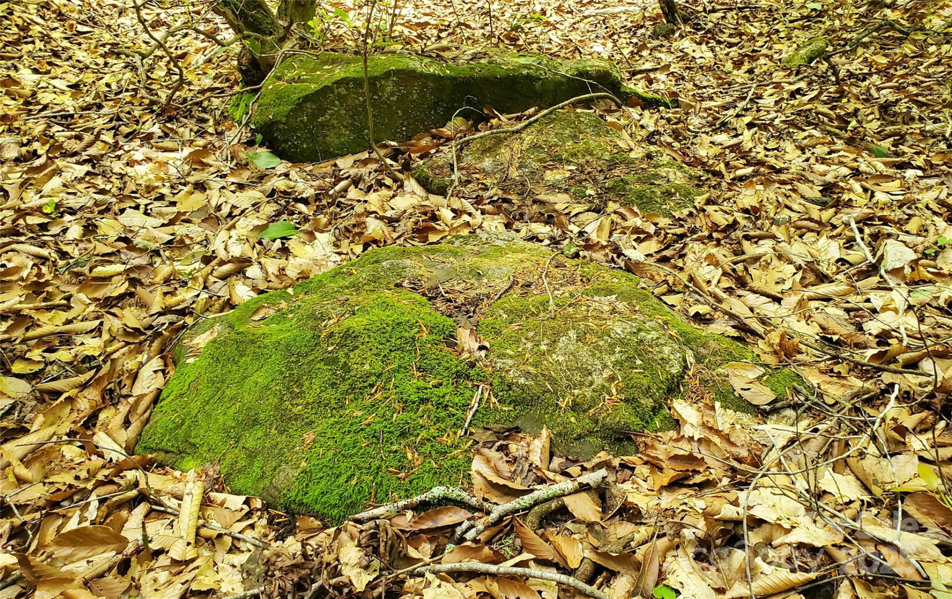 755 Hamilton Drive - Photo 19