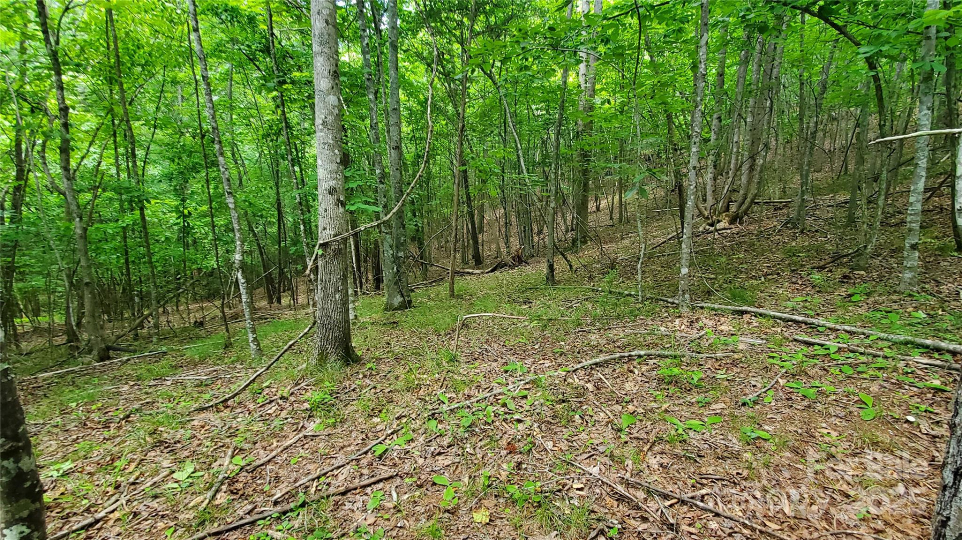 755 Hamilton Drive - Photo 20