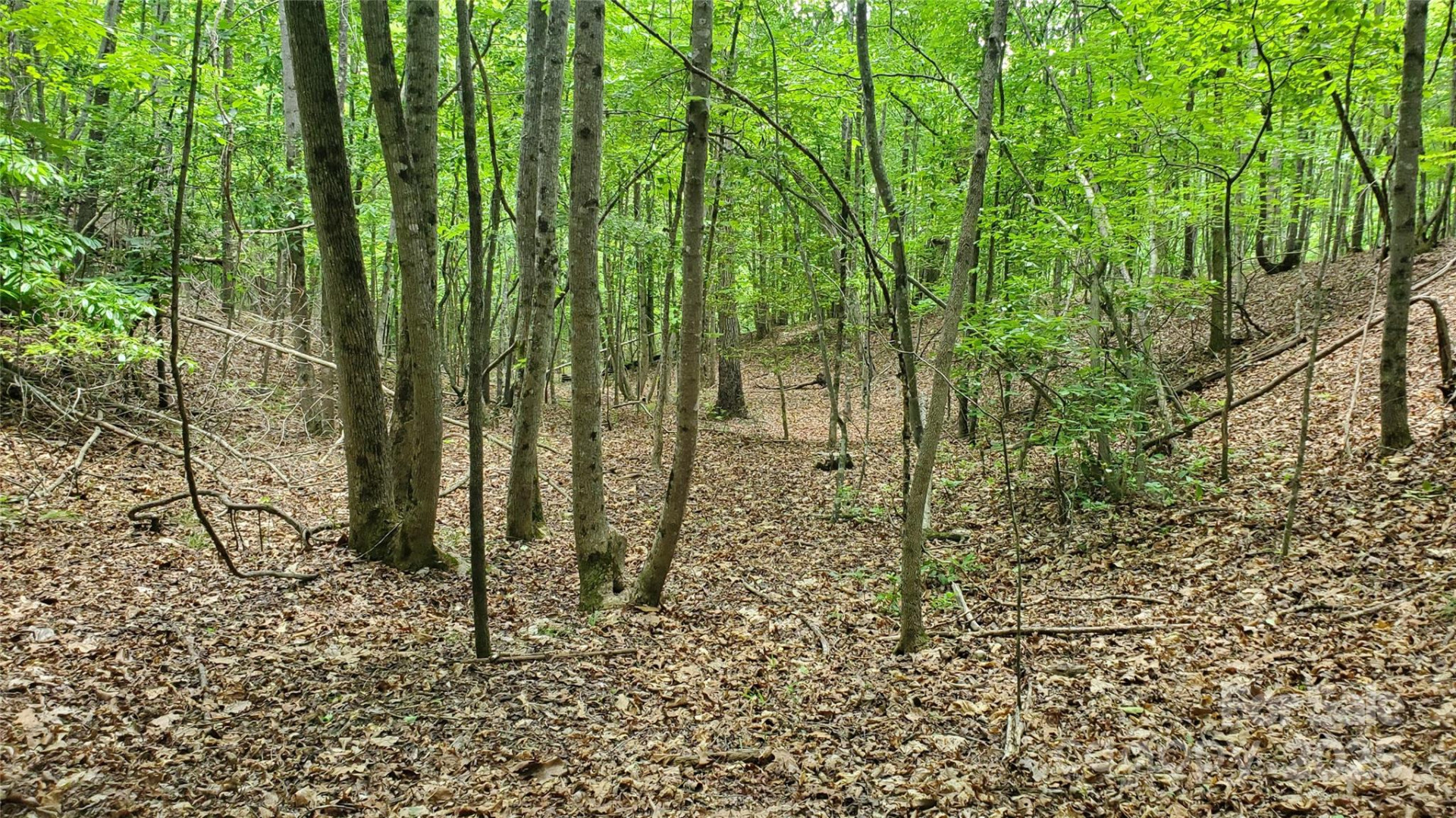 755 Hamilton Drive - Photo 21