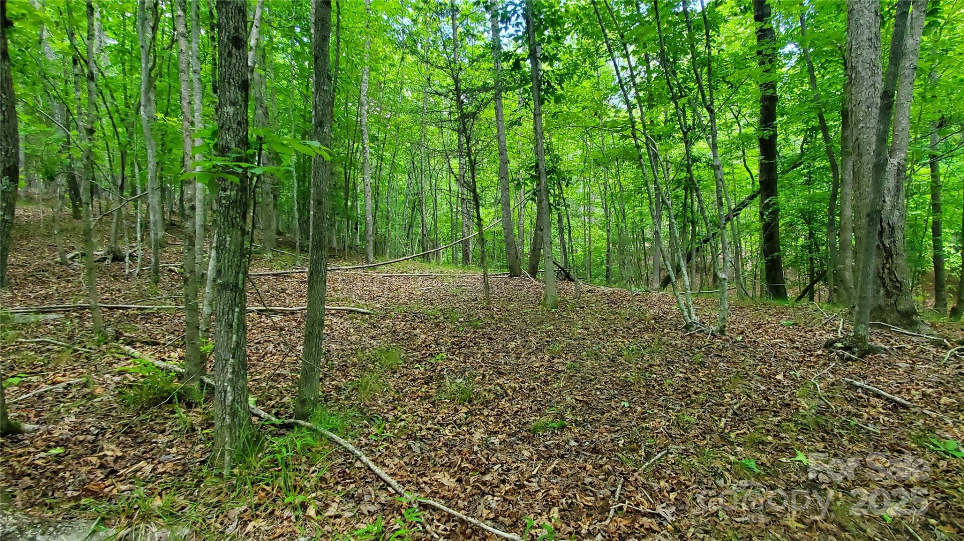 755 Hamilton Drive - Photo 22