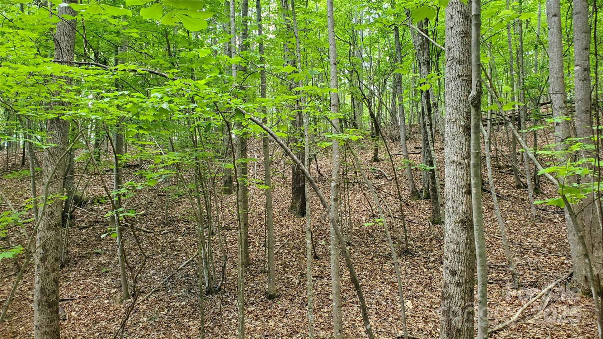 755 Hamilton Drive - Photo 23