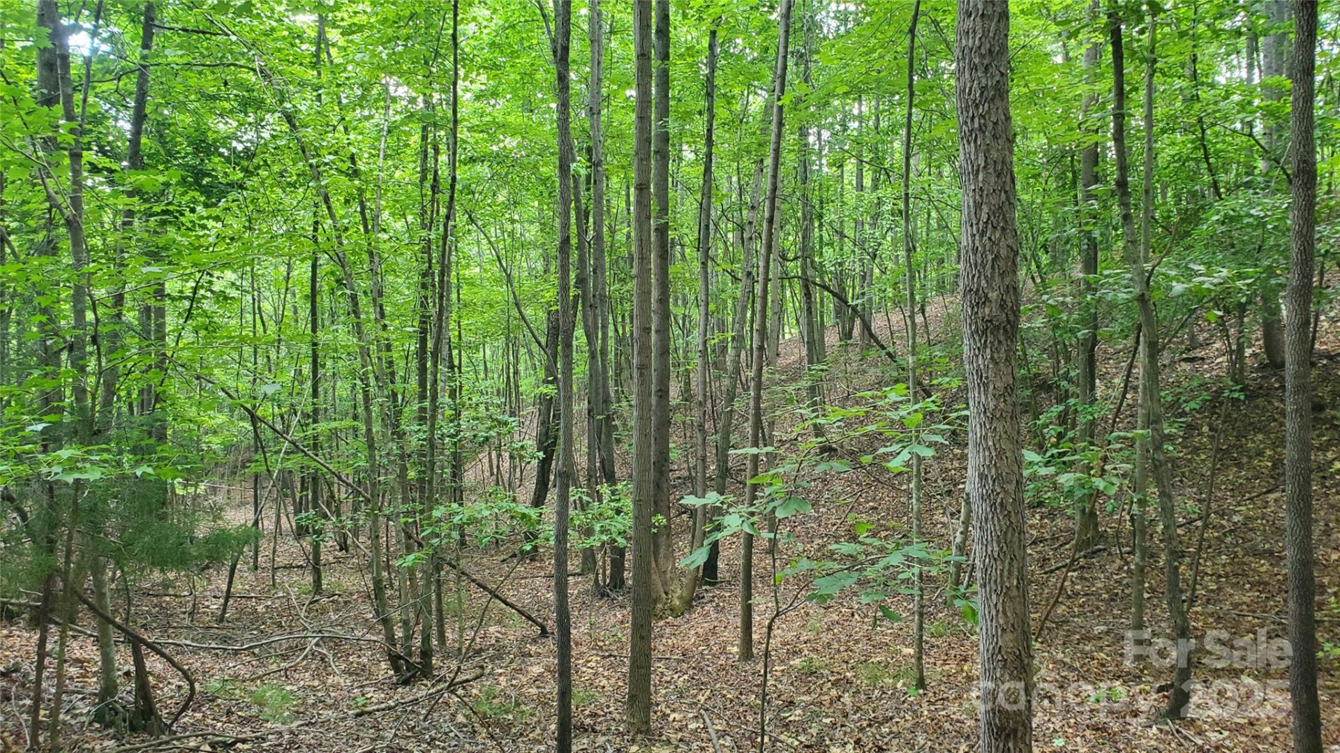 755 Hamilton Drive - Photo 24