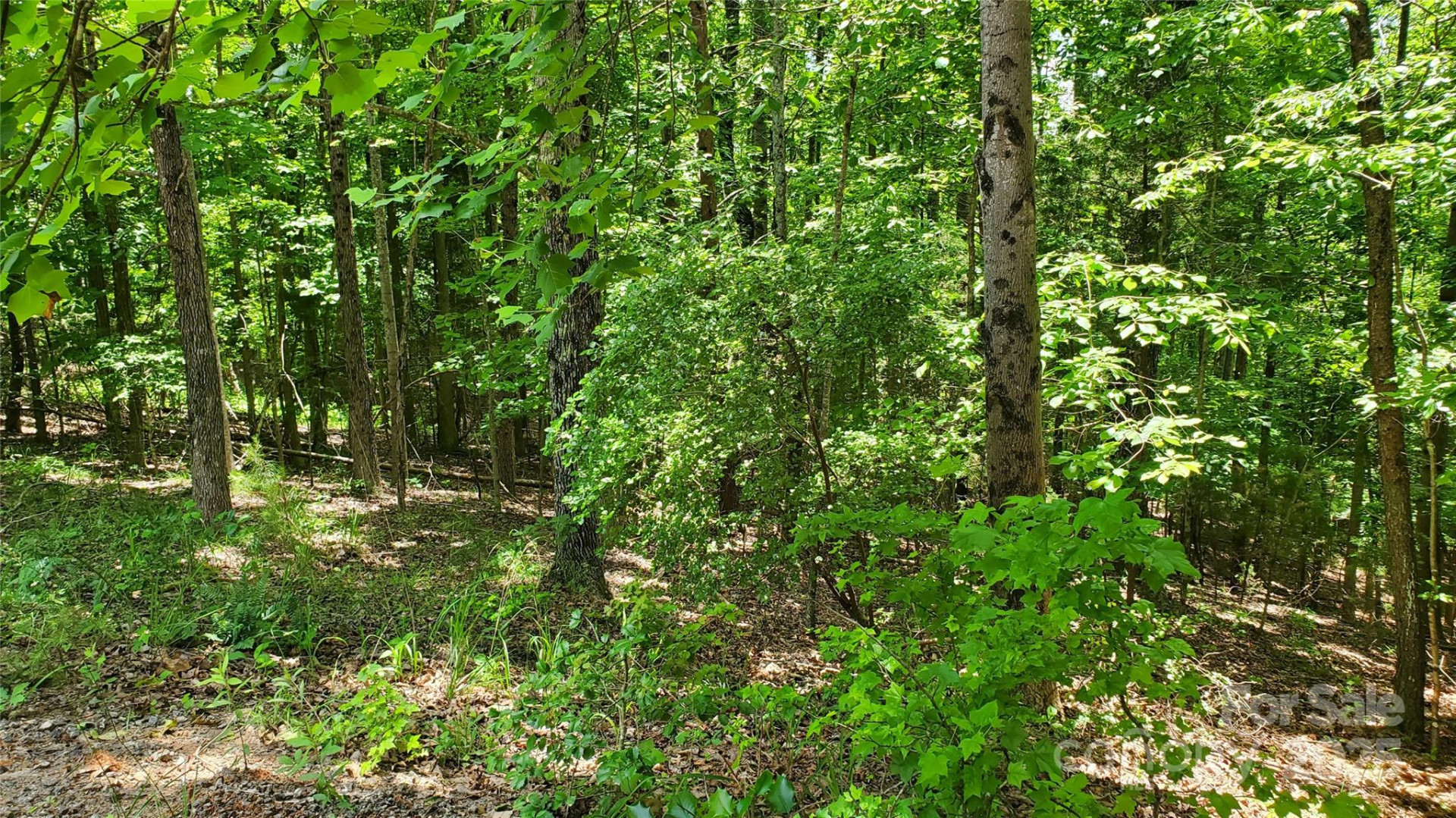 755 Hamilton Drive - Photo 25