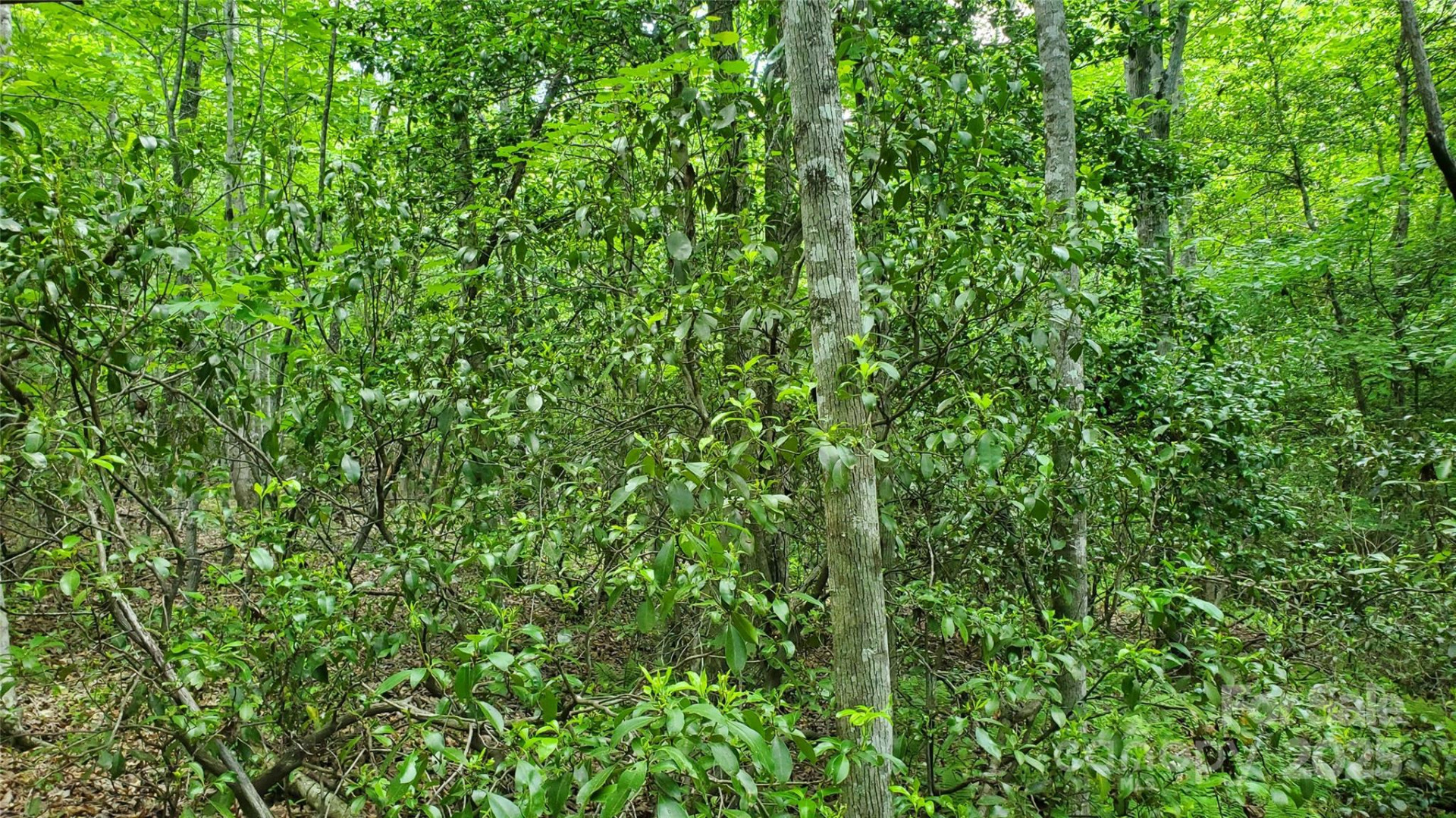 755 Hamilton Drive - Photo 26