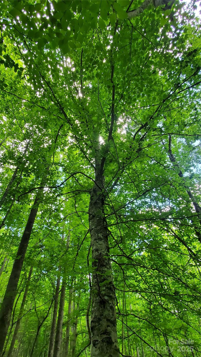 755 Hamilton Drive - Photo 27