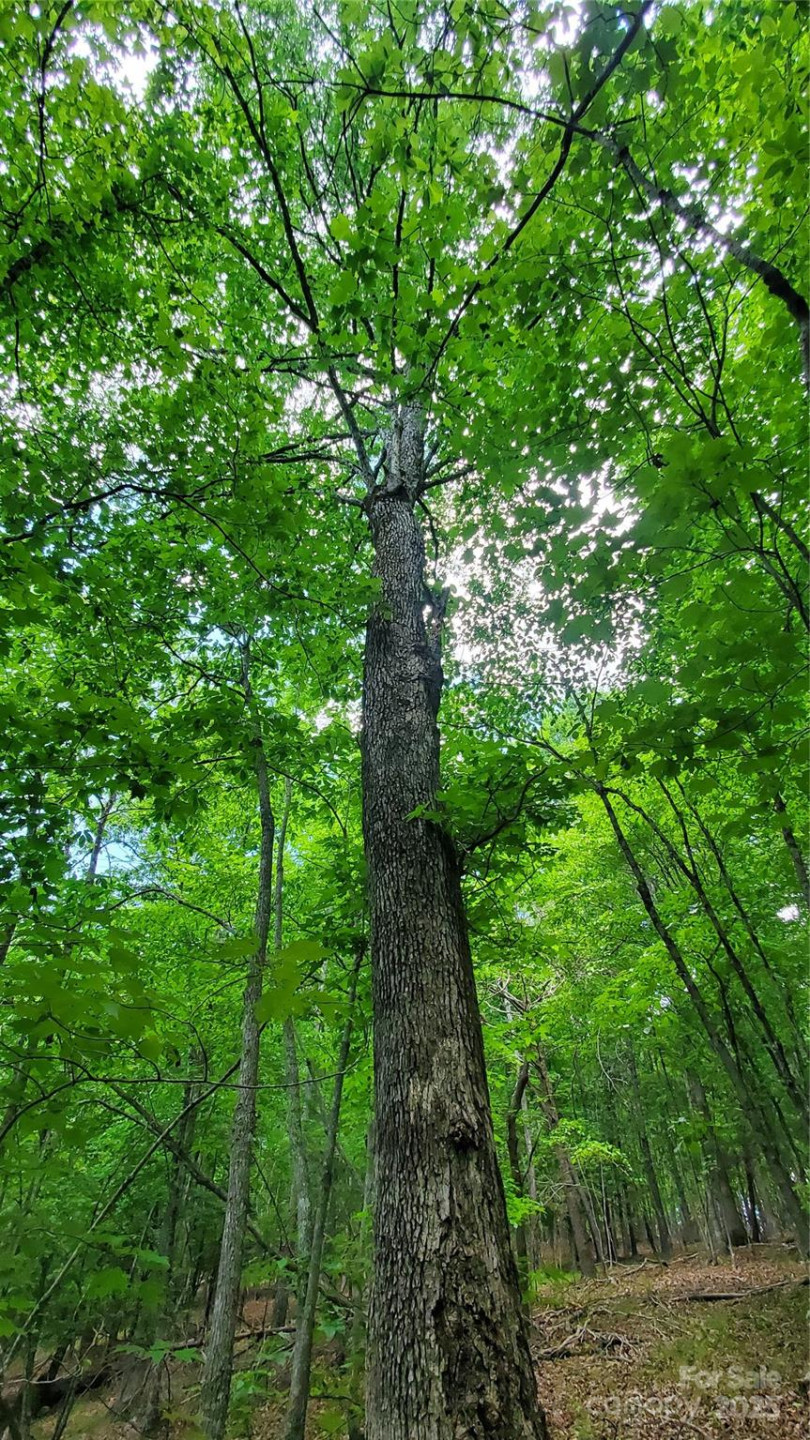 755 Hamilton Drive - Photo 28