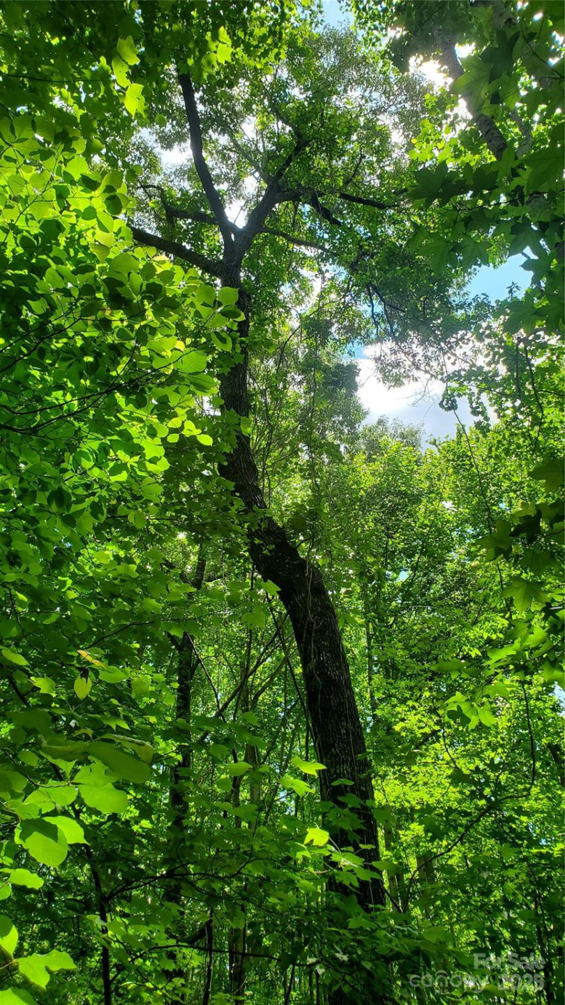 755 Hamilton Drive - Photo 29