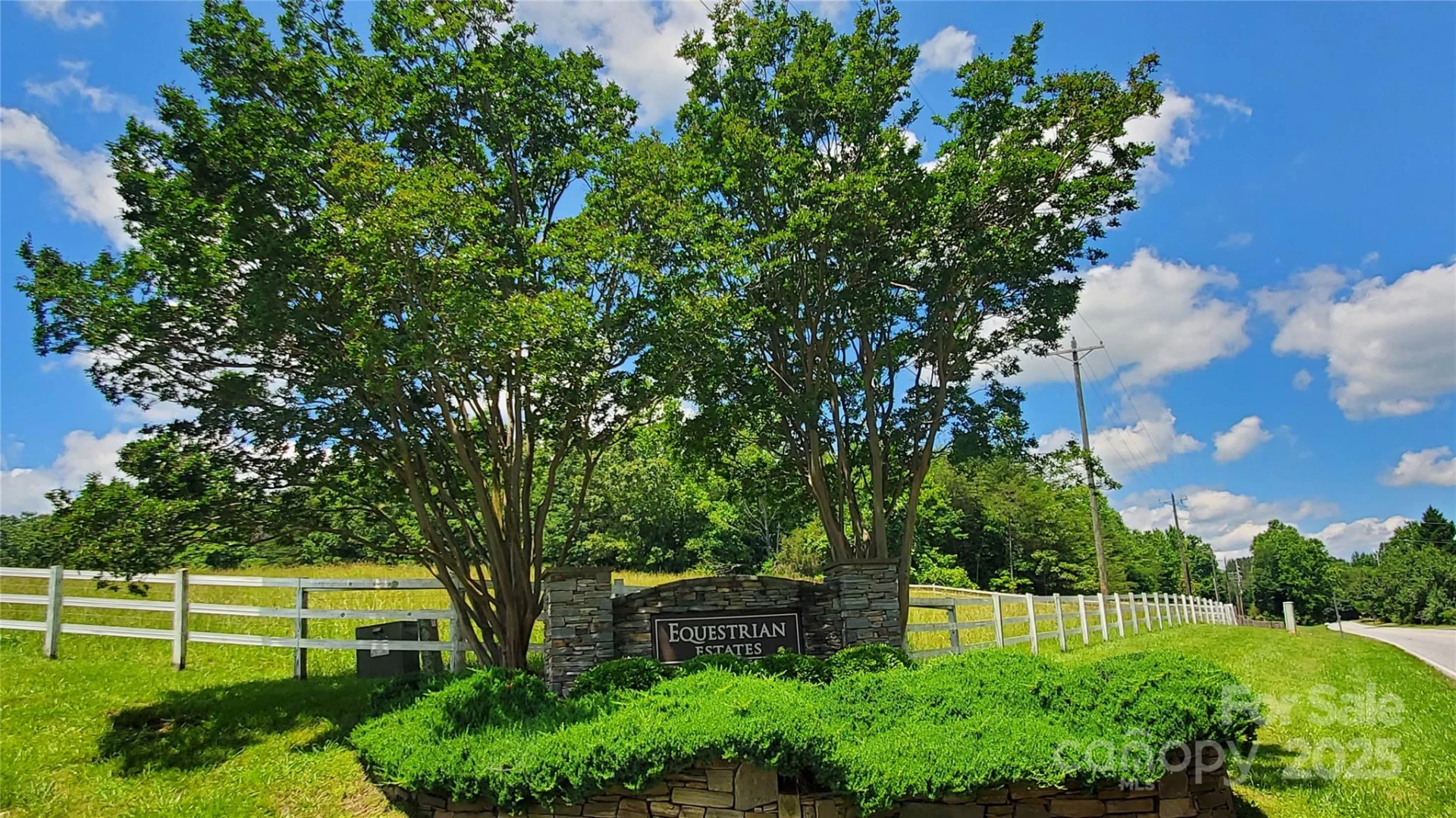 755 Hamilton Drive - Photo 4