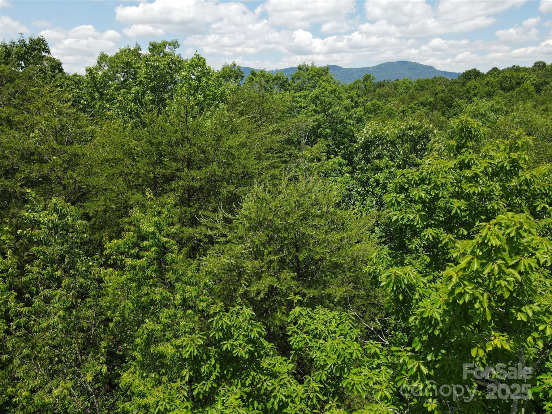 755 Hamilton Drive - Photo 33