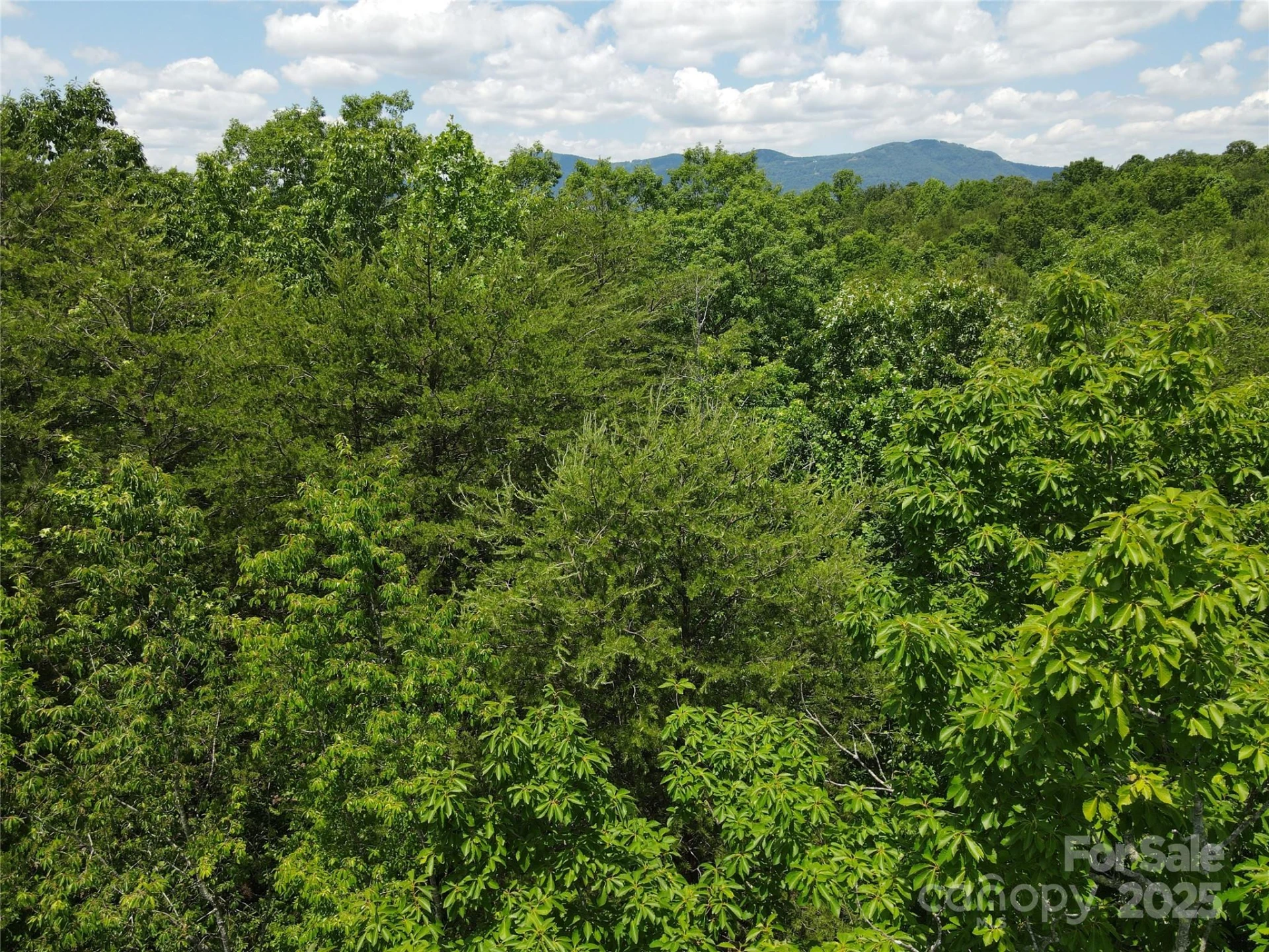 755 Hamilton Drive - Photo 33