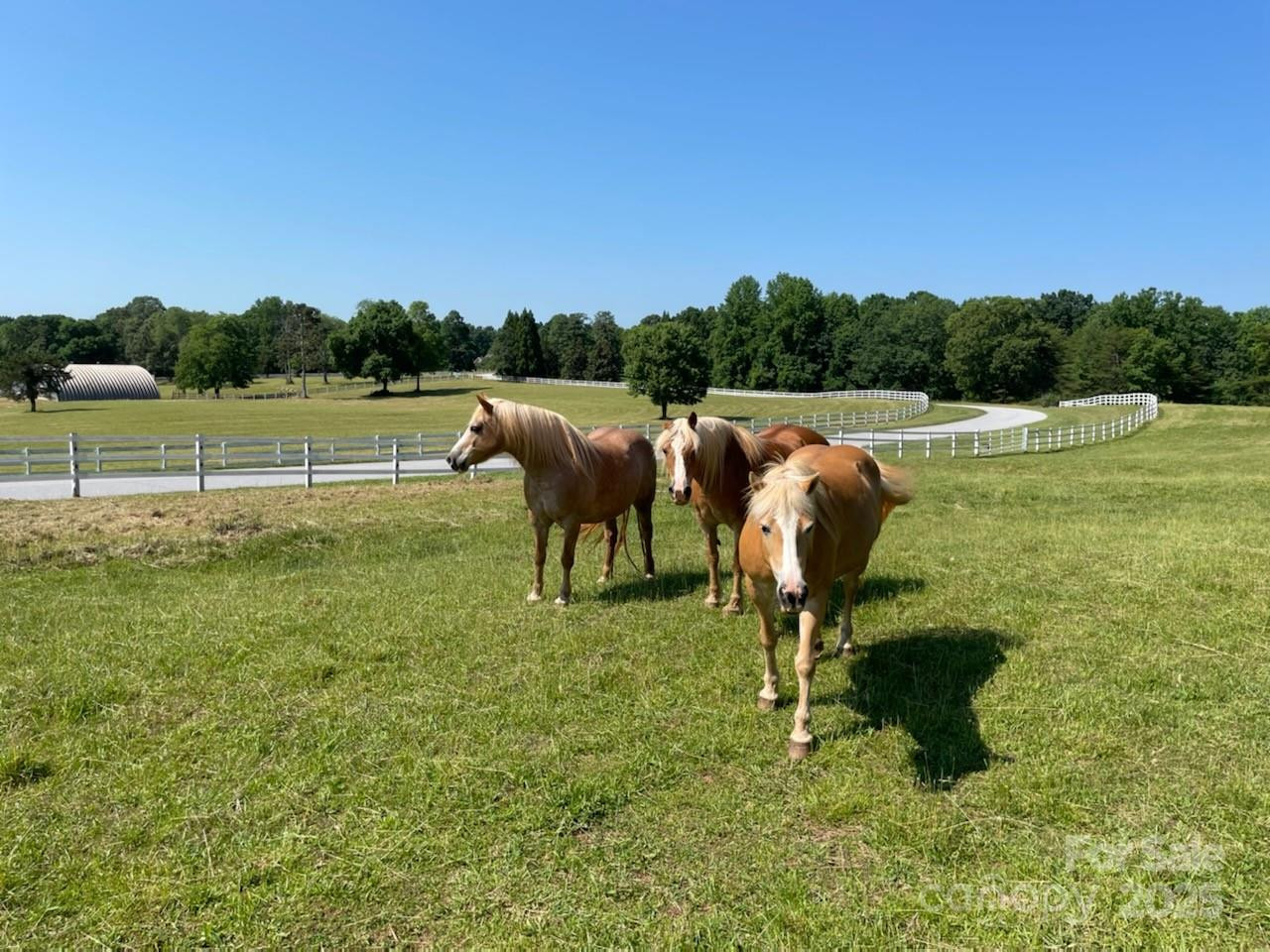 755 Hamilton Drive - Photo 7