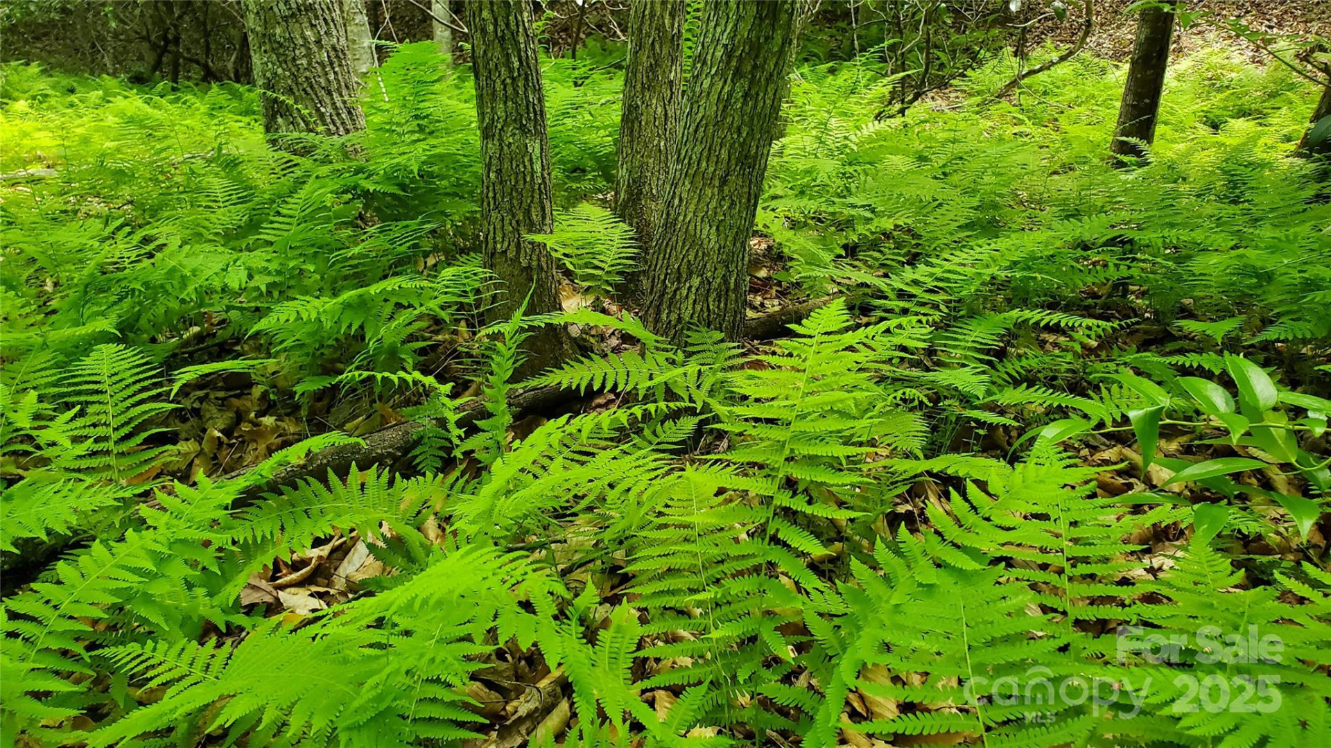 755 Hamilton Drive - Photo 10