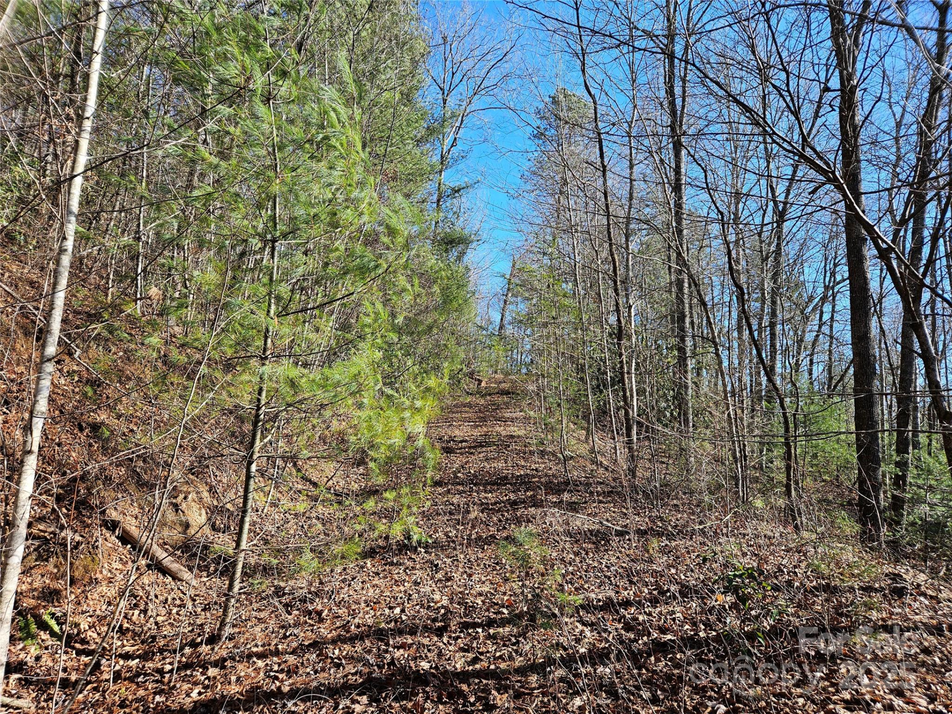 00 Wispy Willow Drive #24T - Photo 2