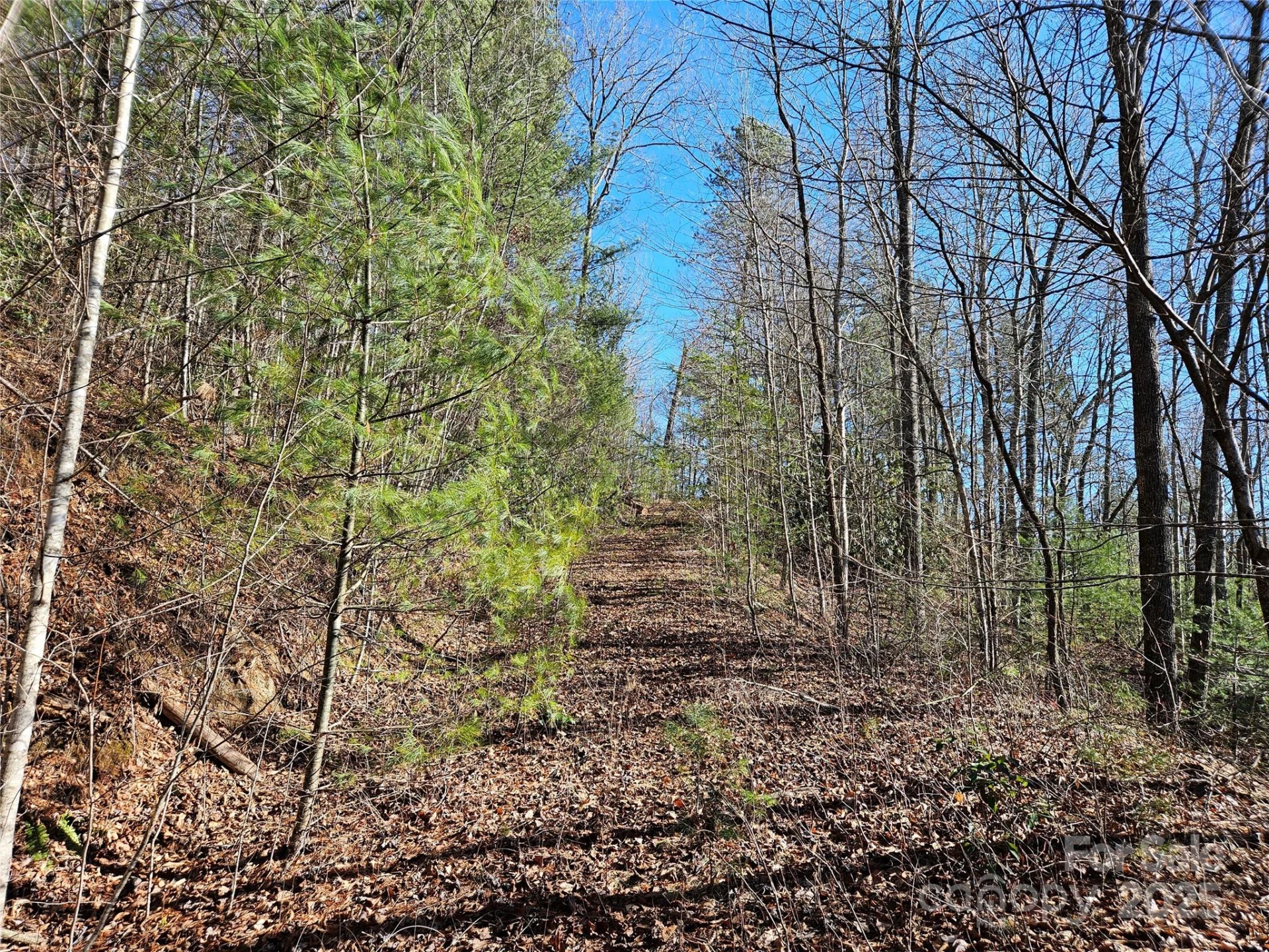 00 Wispy Willow Drive #24T - Photo 2