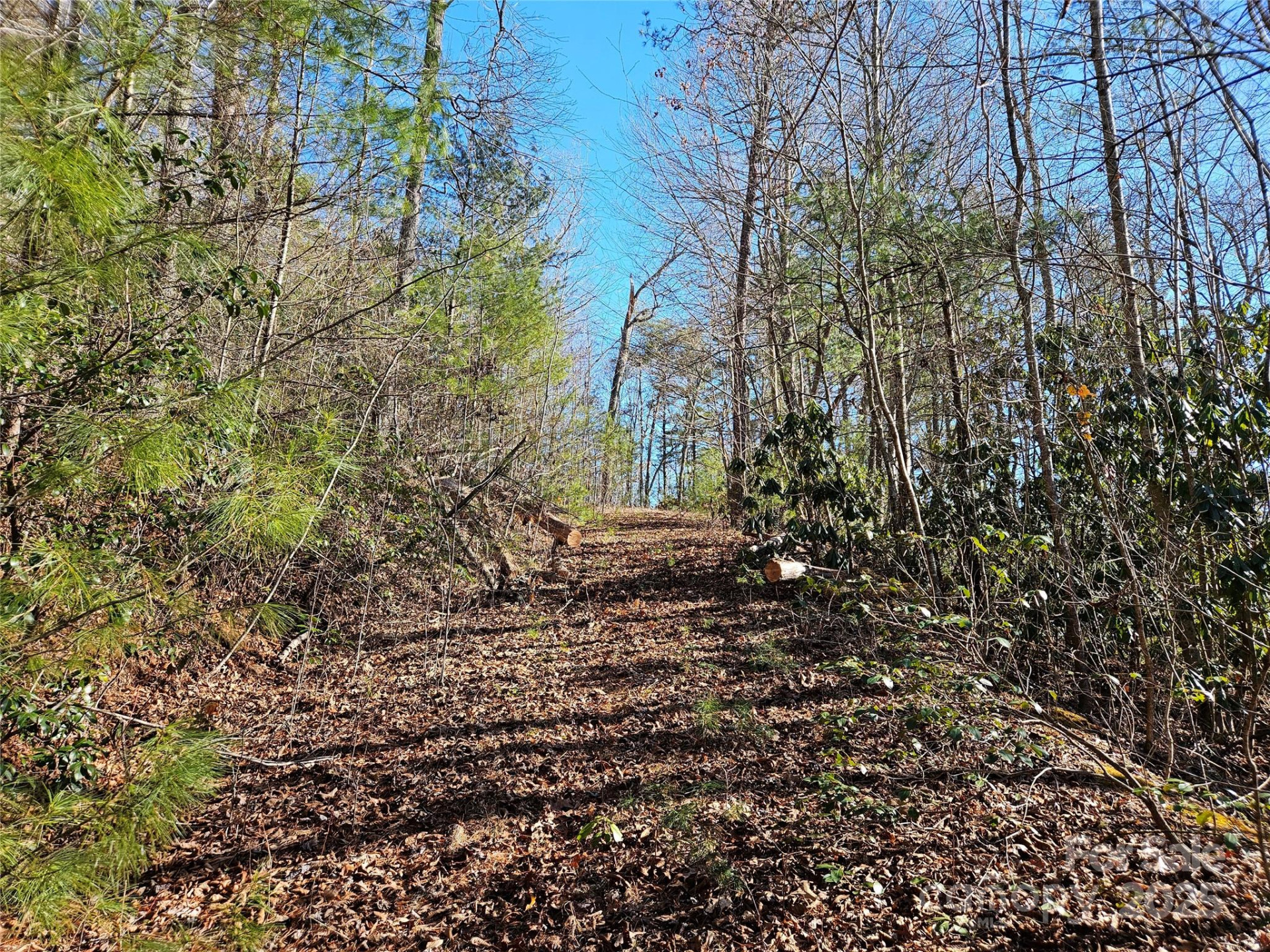 00 Wispy Willow Drive #24T - Photo 3