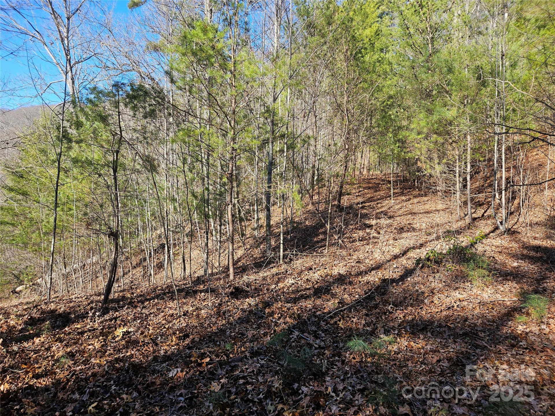 00 Wispy Willow Drive #24T - Photo 4