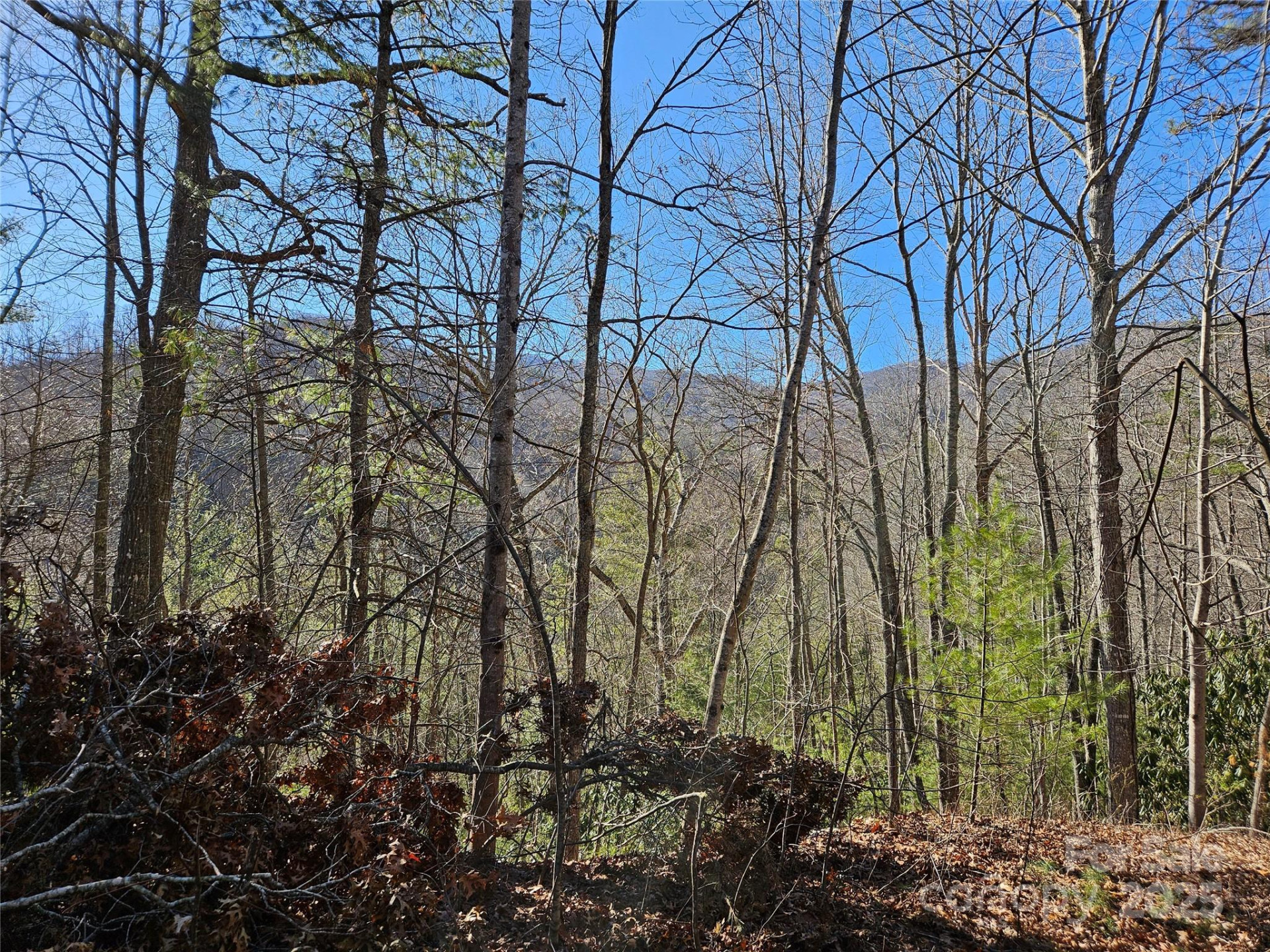 00 Wispy Willow Drive #24T - Photo 5