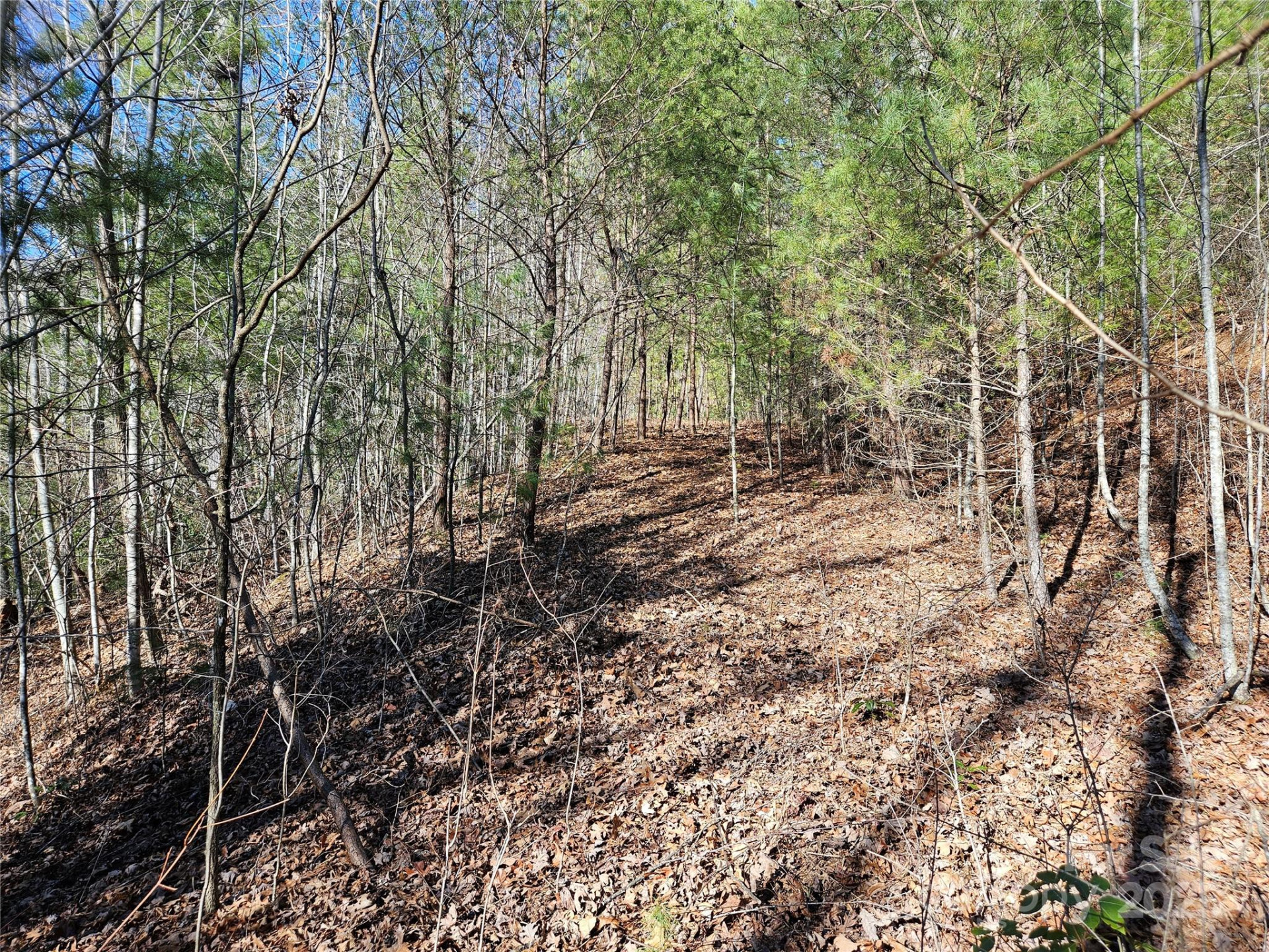 00 Wispy Willow Drive #24T - Photo 6