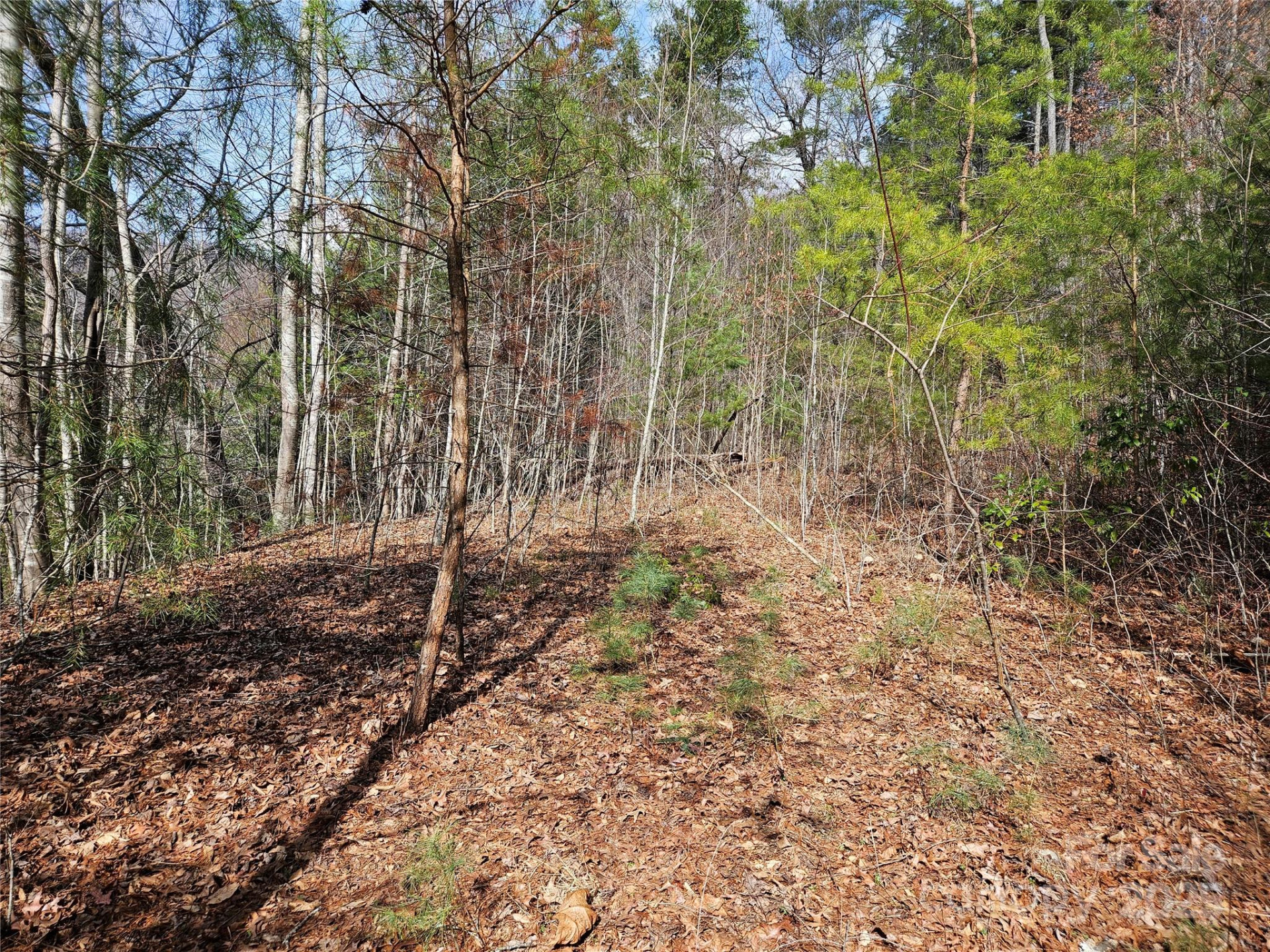 00 Wispy Willow Drive #24T - Photo 8