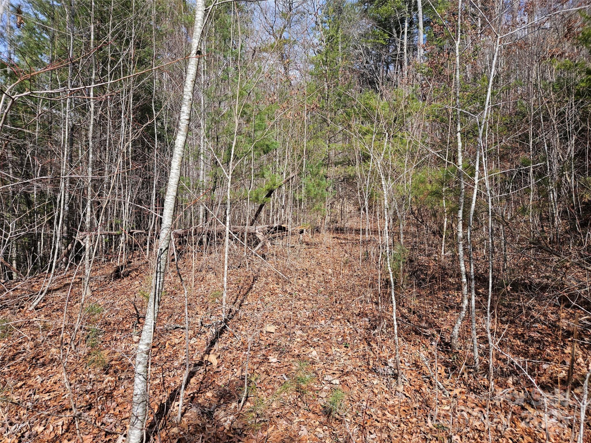 00 Wispy Willow Drive #24T - Photo 9