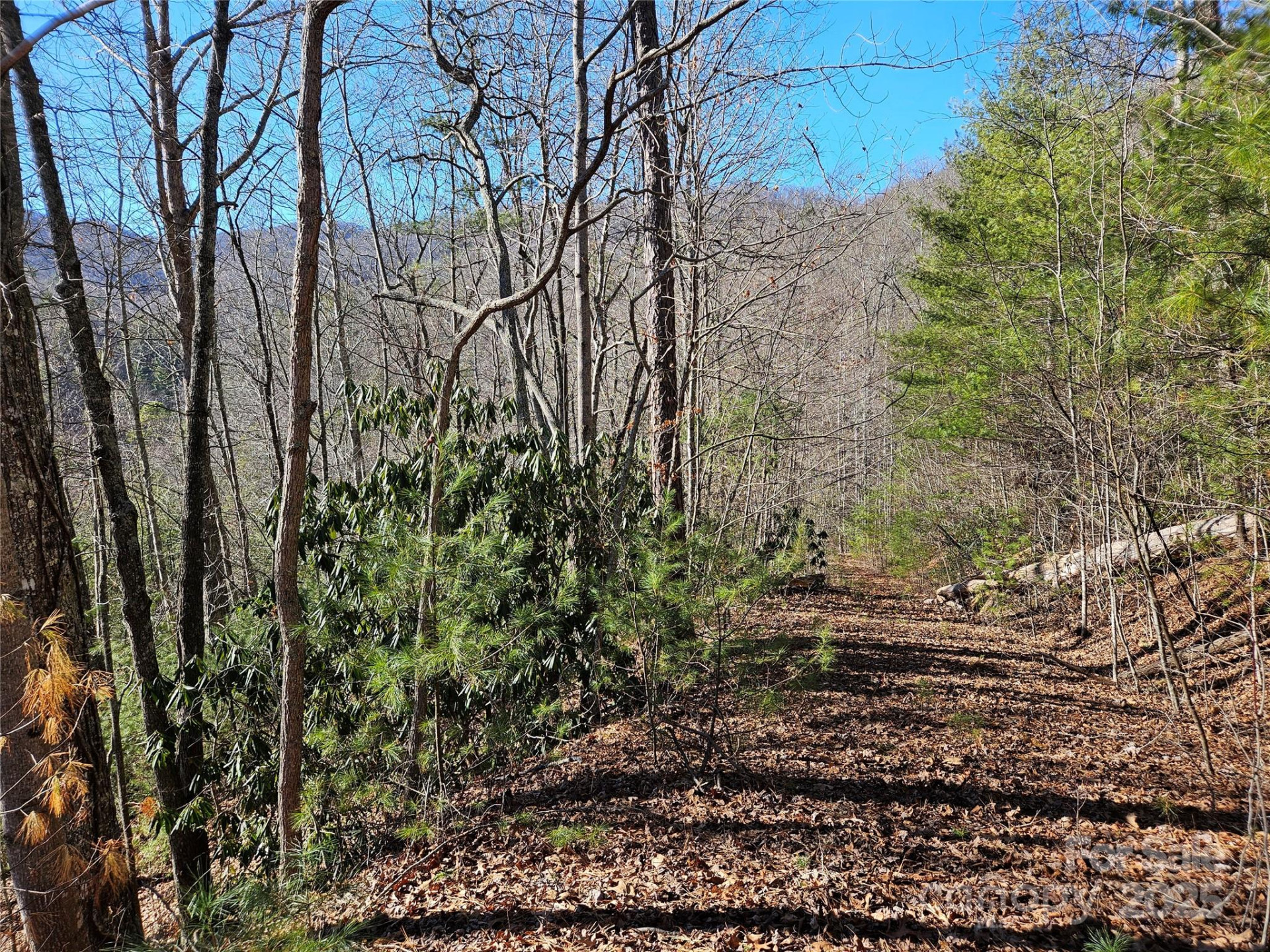 00 Wispy Willow Drive #24T - Photo 10