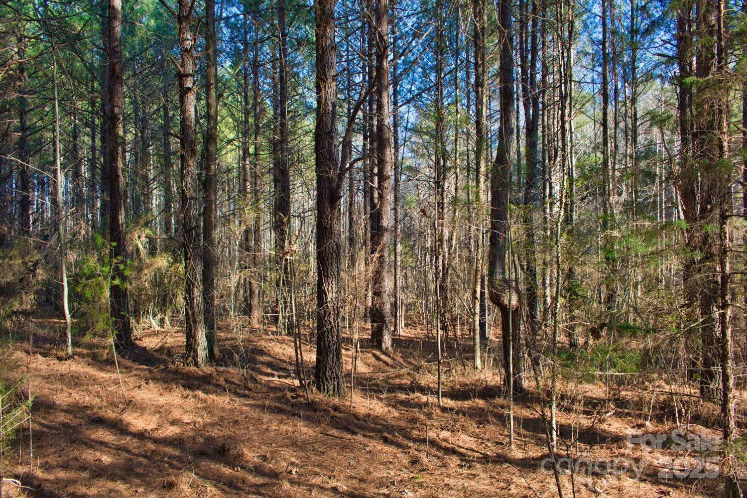 0 Clearwater Parkway #209 - Photo 4