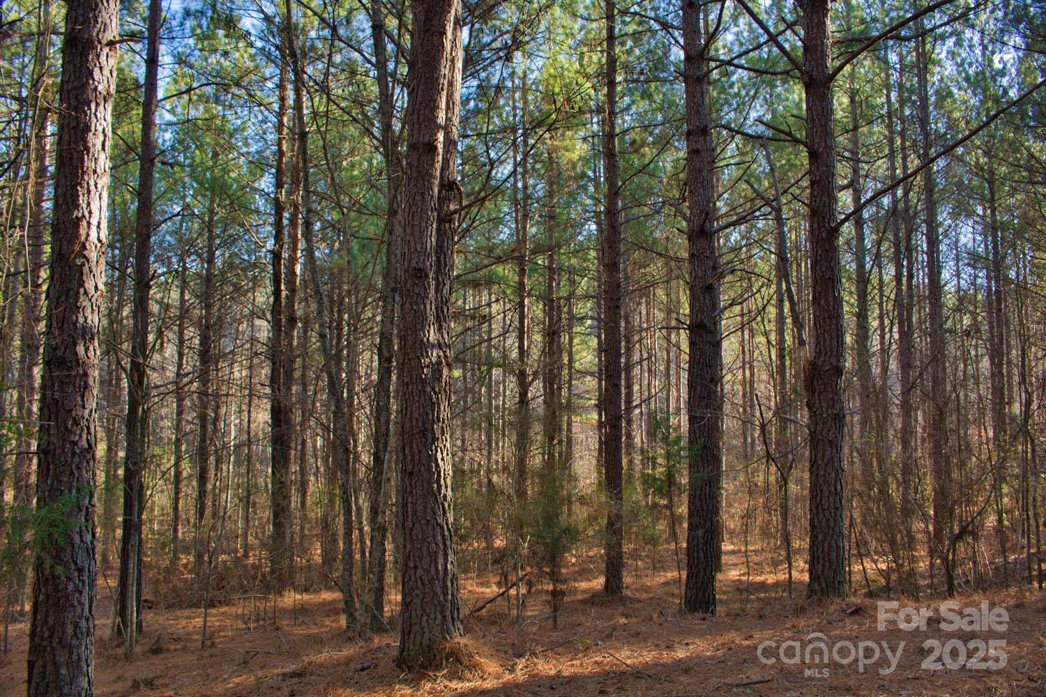 0 Clearwater Parkway #209 - Photo 5