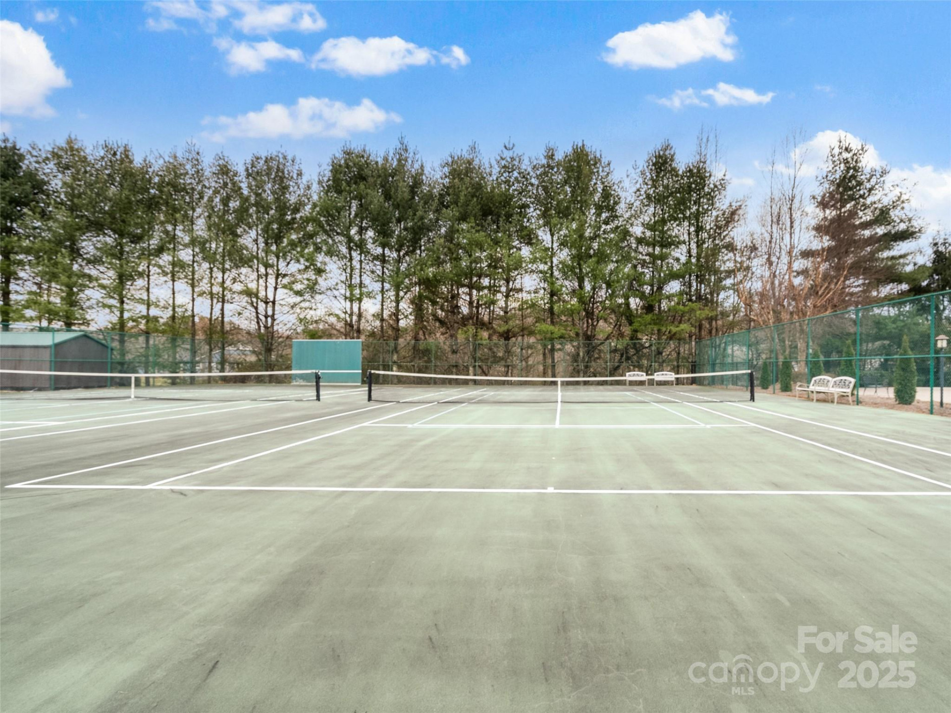 1206 Deermouse Way - Photo 34
