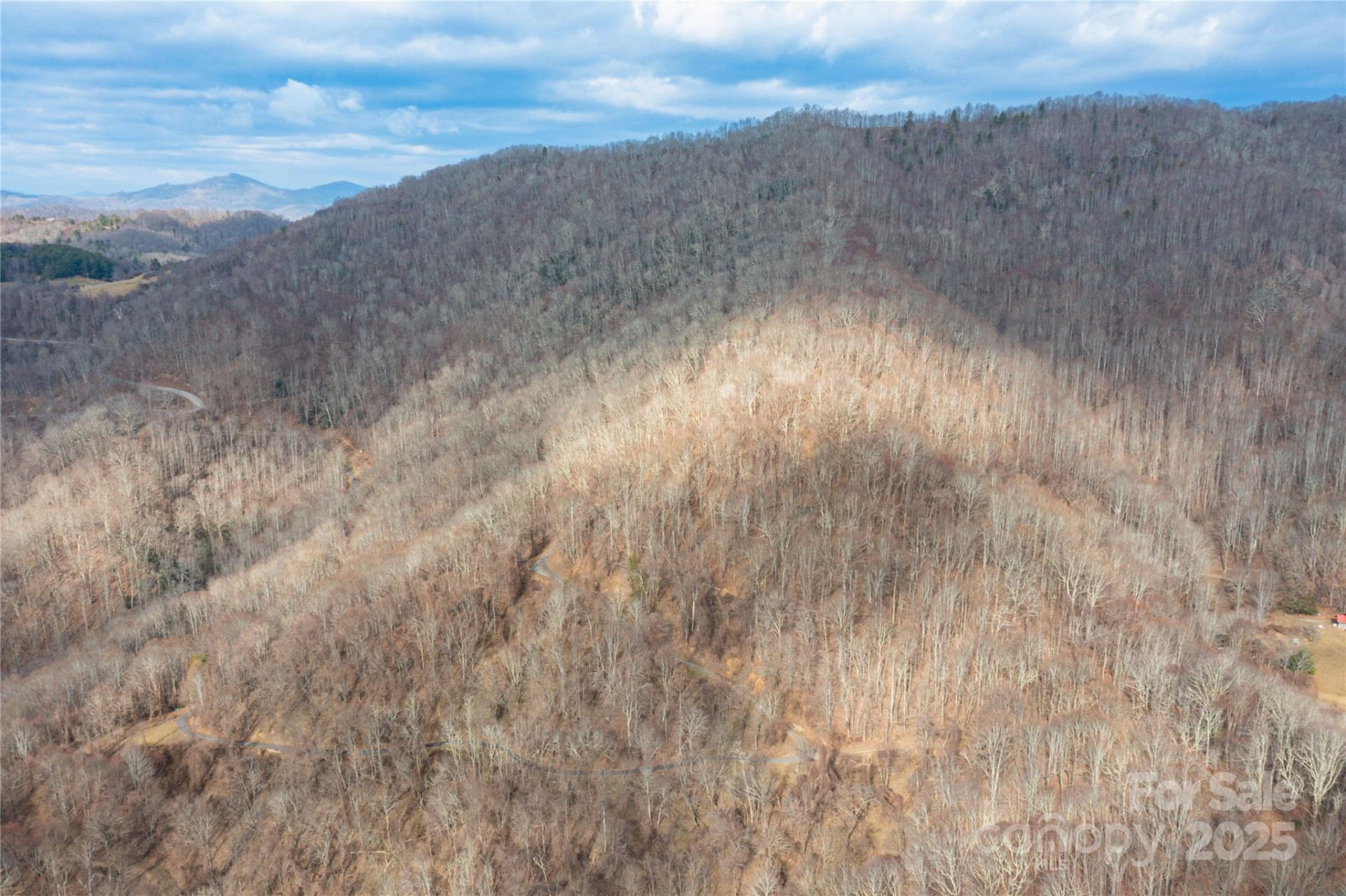 TBD Halfmoon Ridge - Photo 12