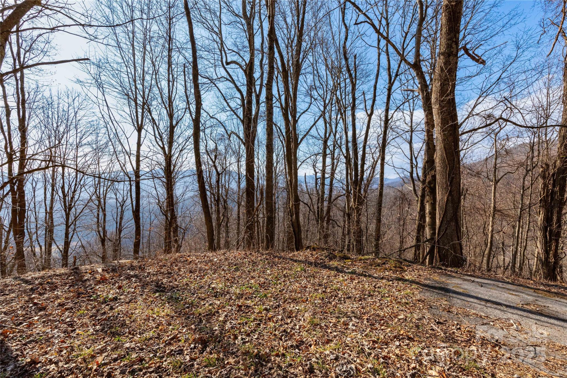 TBD Halfmoon Ridge - Photo 4