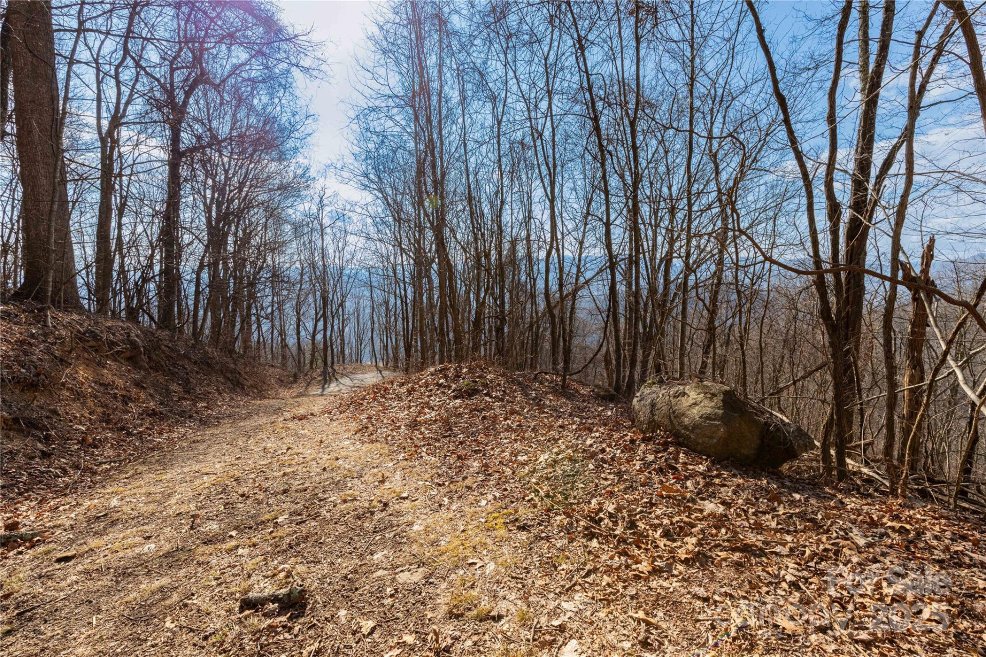 TBD Halfmoon Ridge - Photo 7