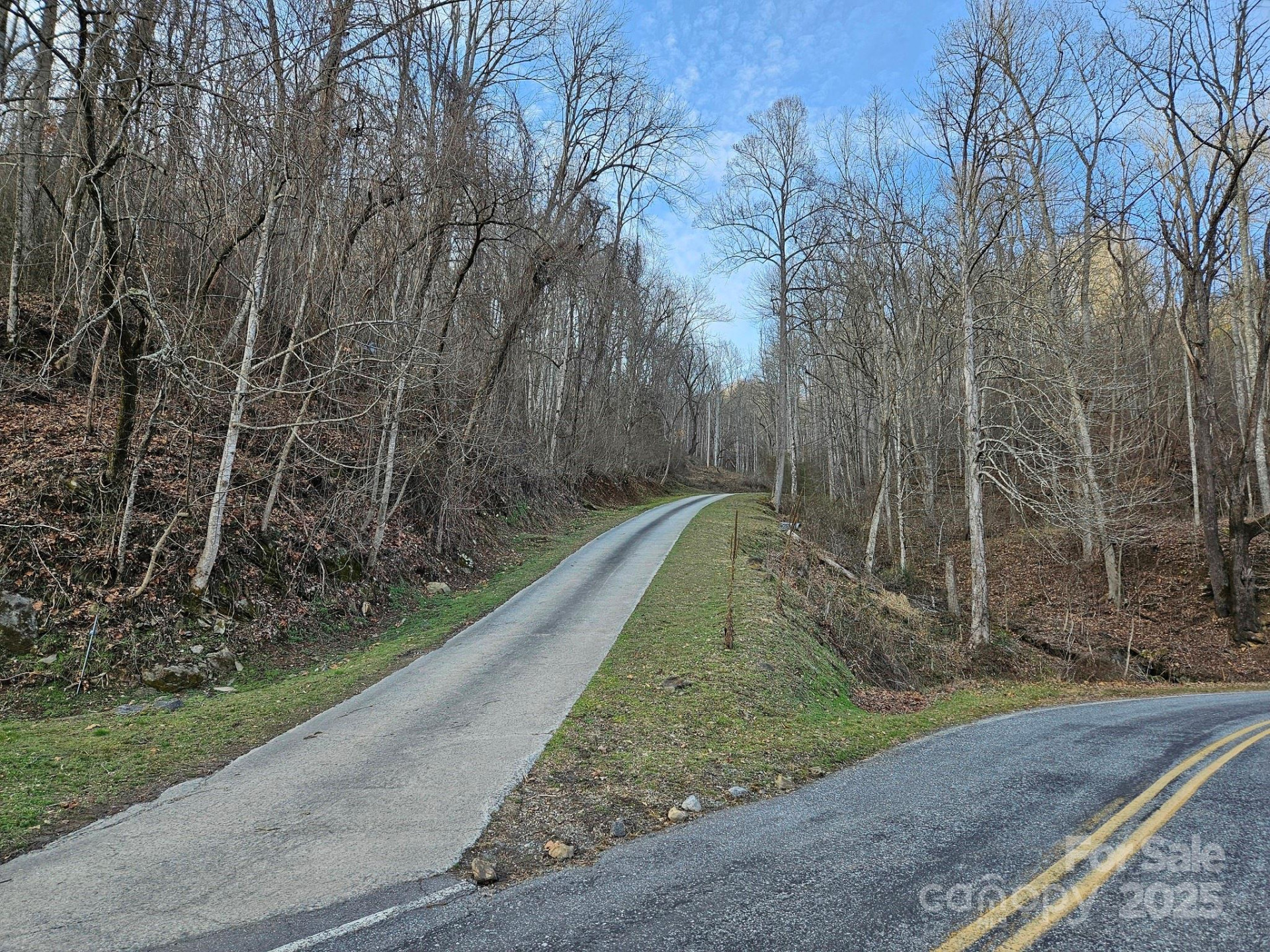 80 Choke Berry Ridge