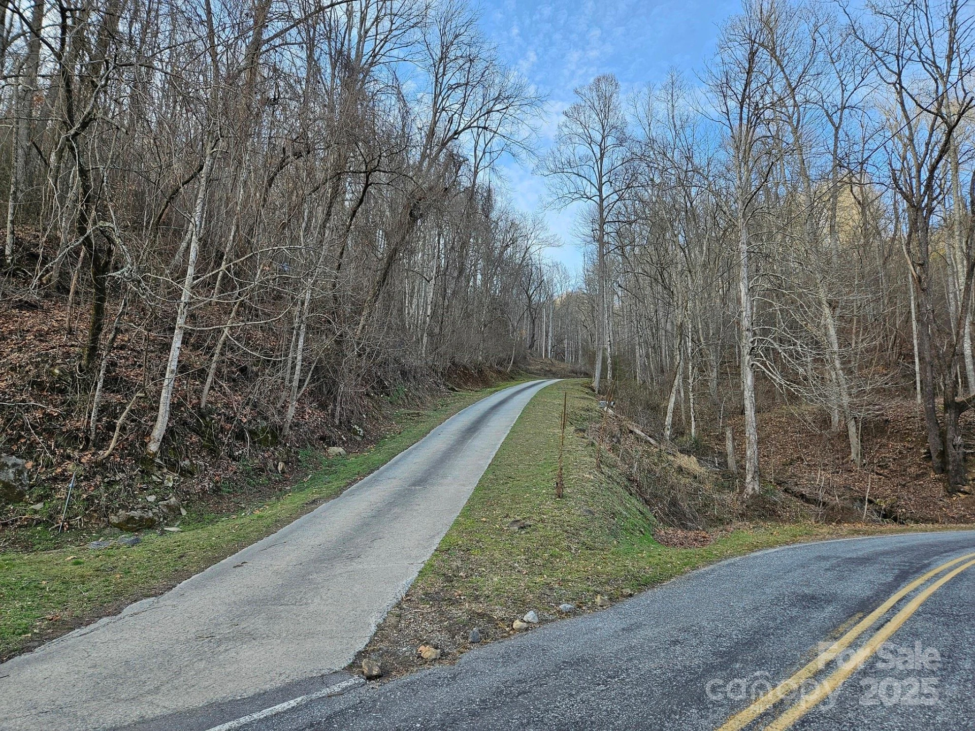 80 Choke Berry Ridge