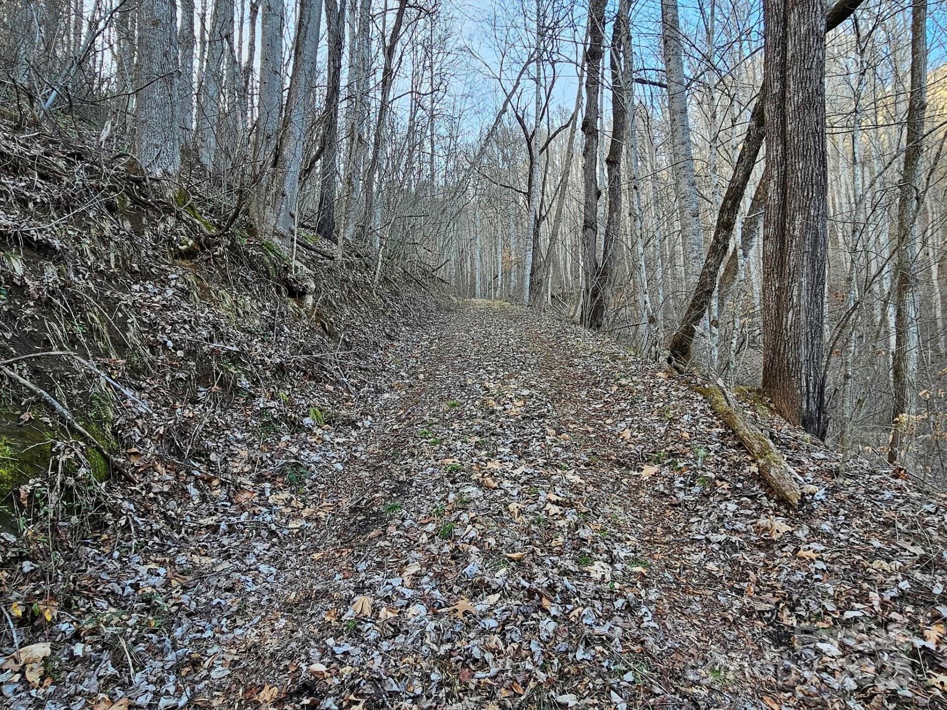 80 Choke Berry Ridge - Photo 2