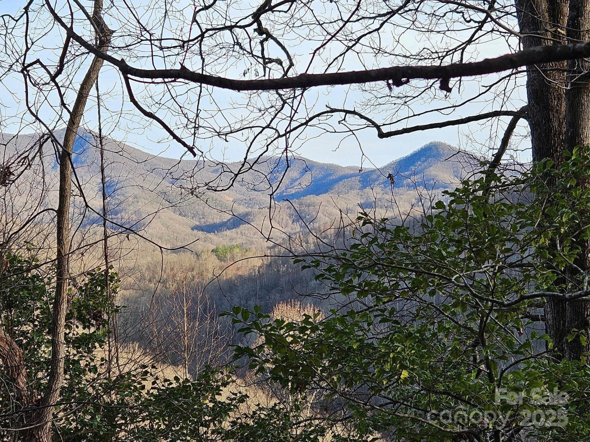 80 Choke Berry Ridge - Photo 11