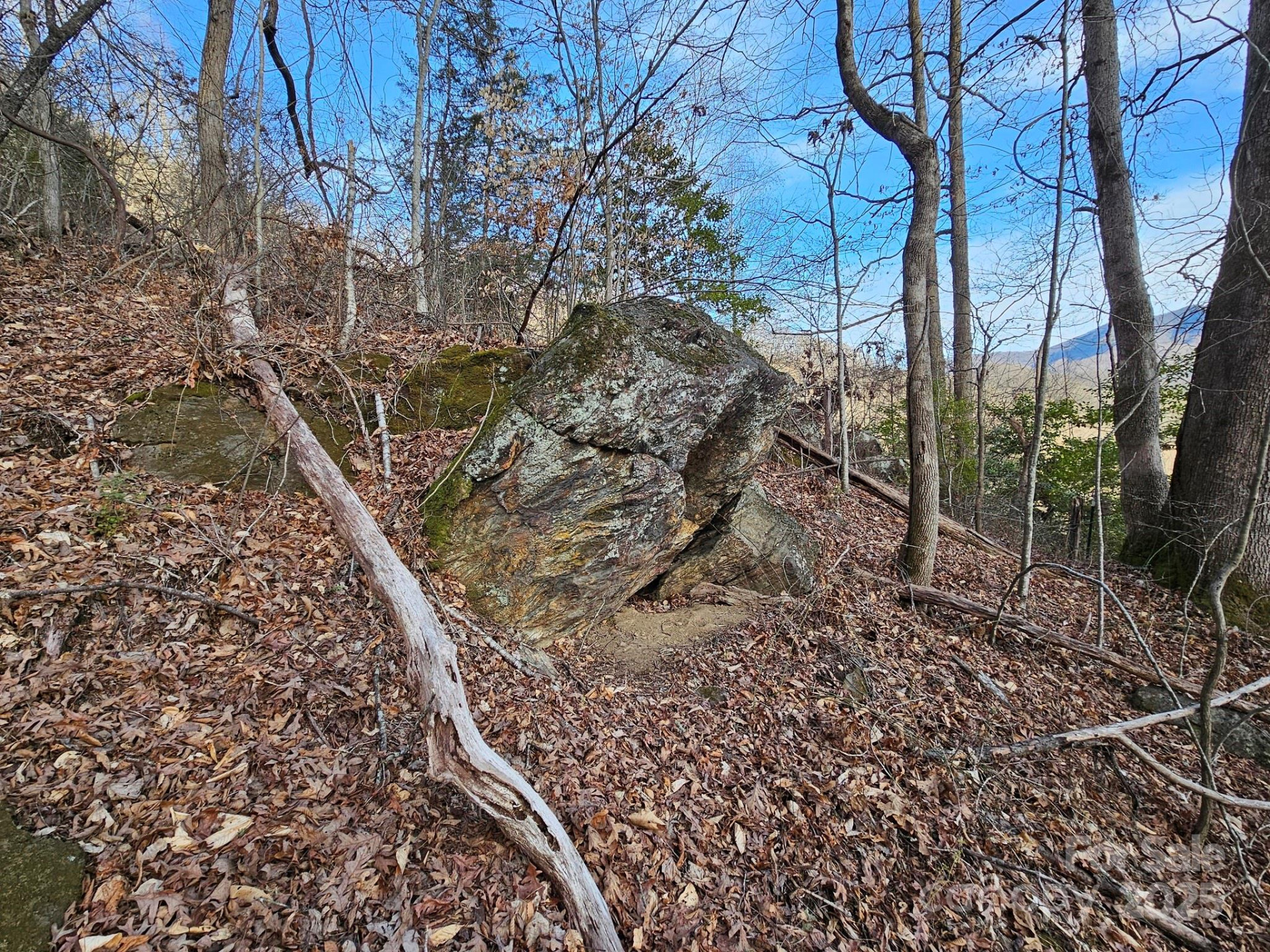 80 Choke Berry Ridge - Photo 12