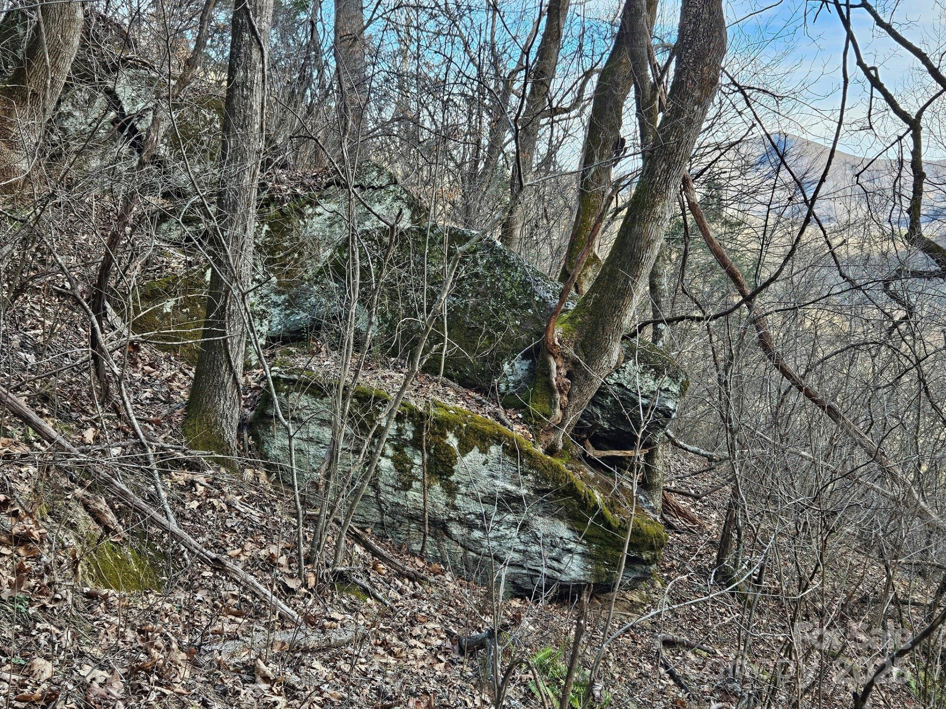 80 Choke Berry Ridge - Photo 14