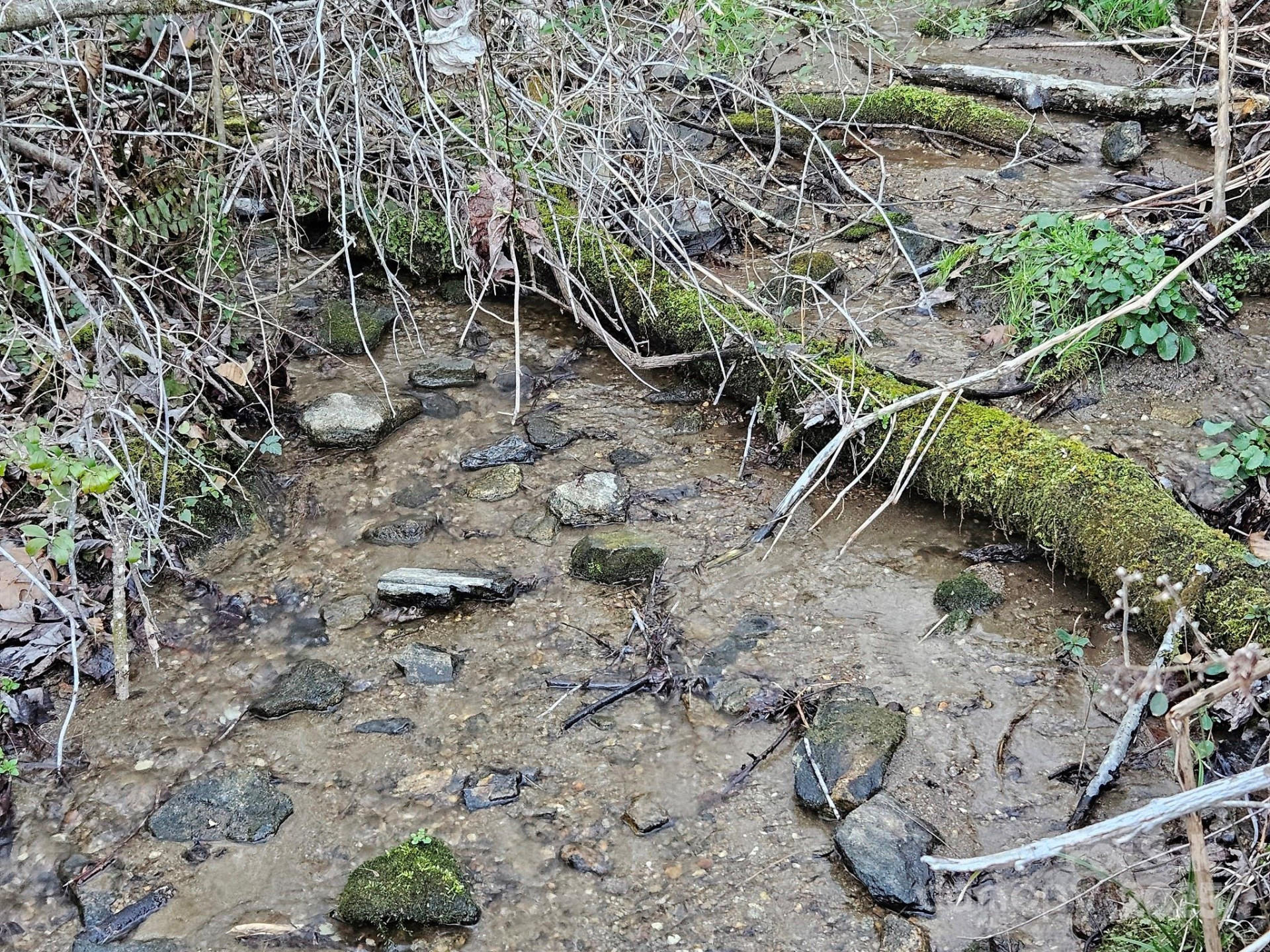 80 Choke Berry Ridge - Photo 15