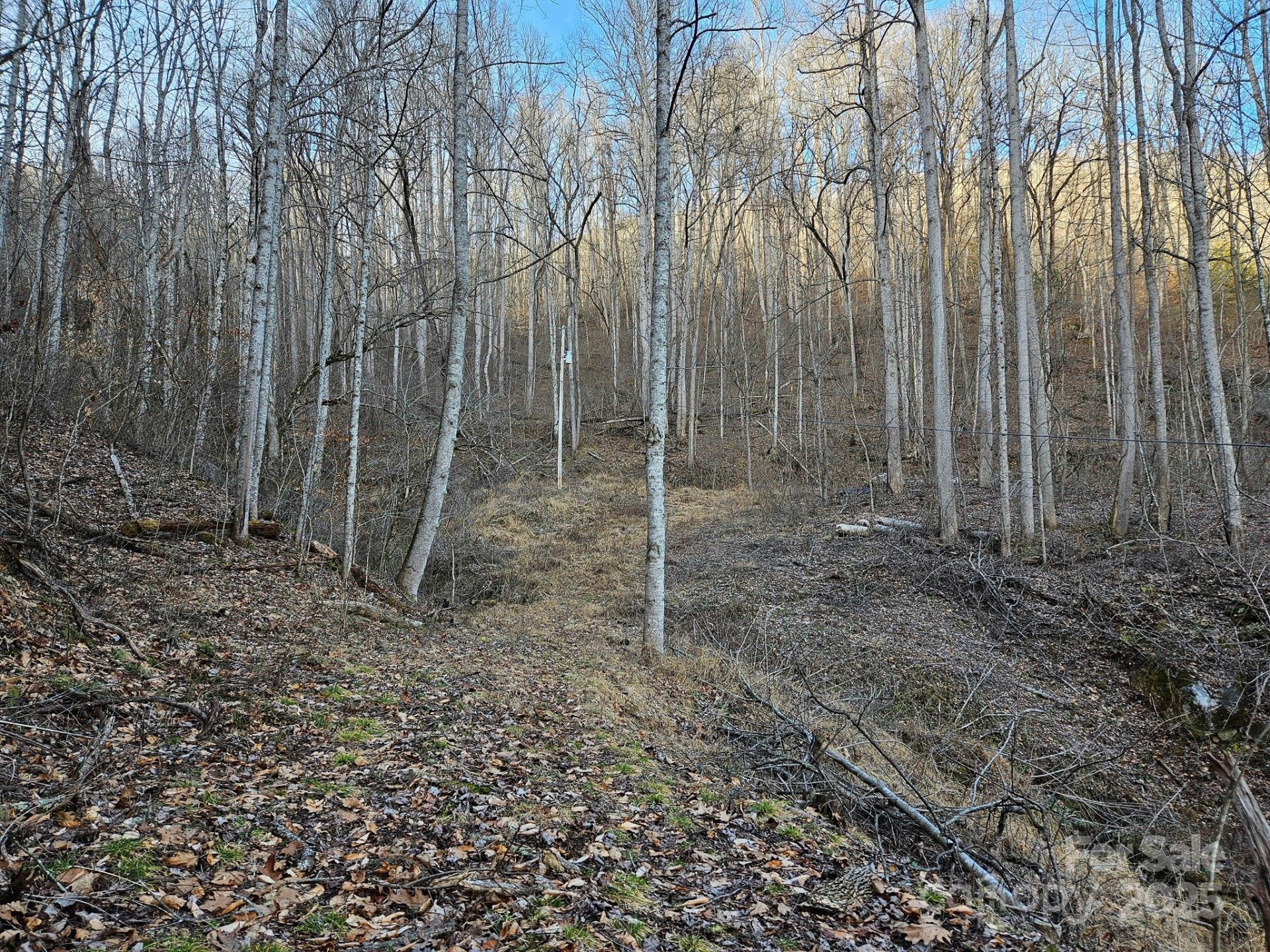 80 Choke Berry Ridge - Photo 3