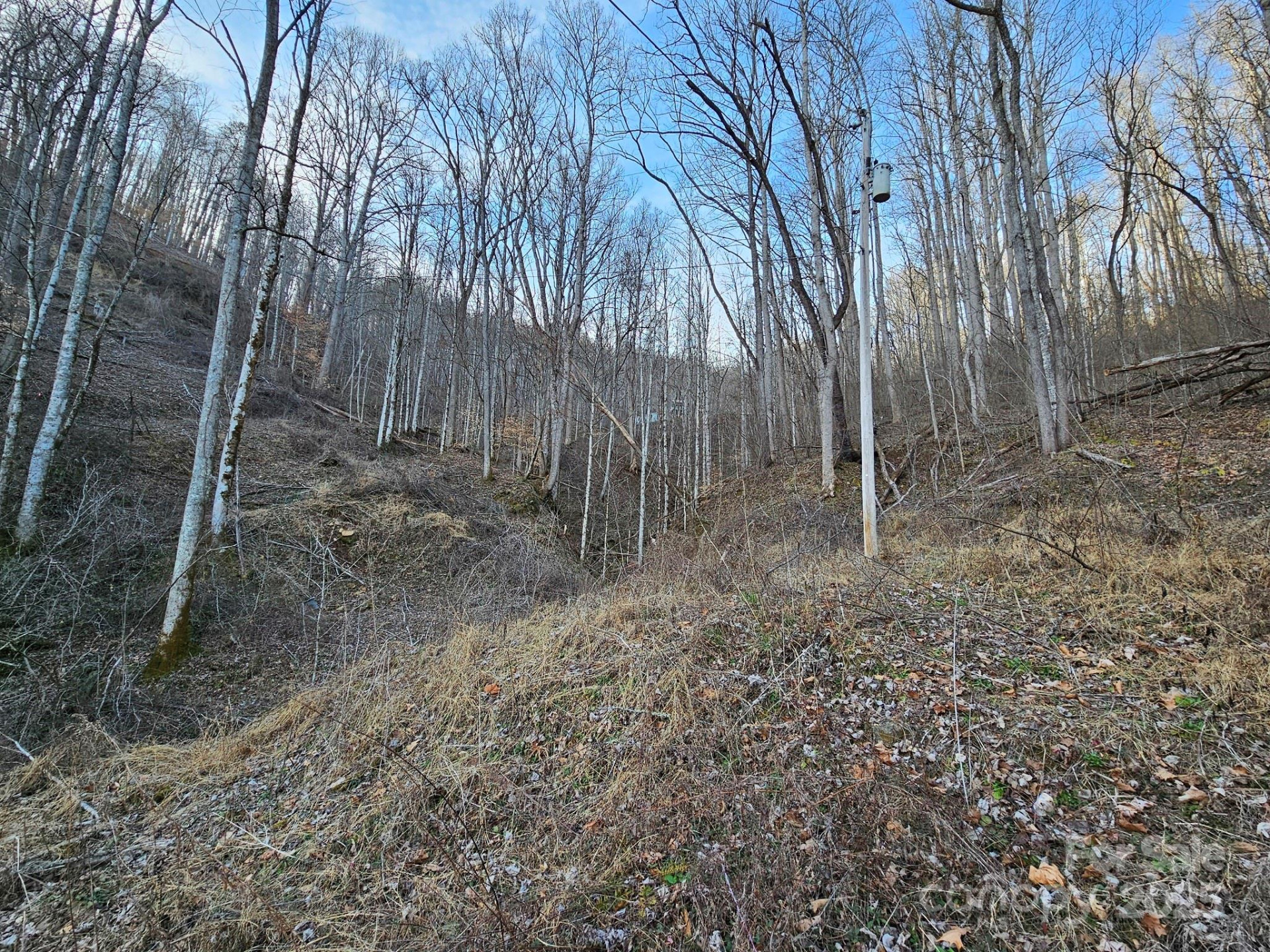 80 Choke Berry Ridge - Photo 5